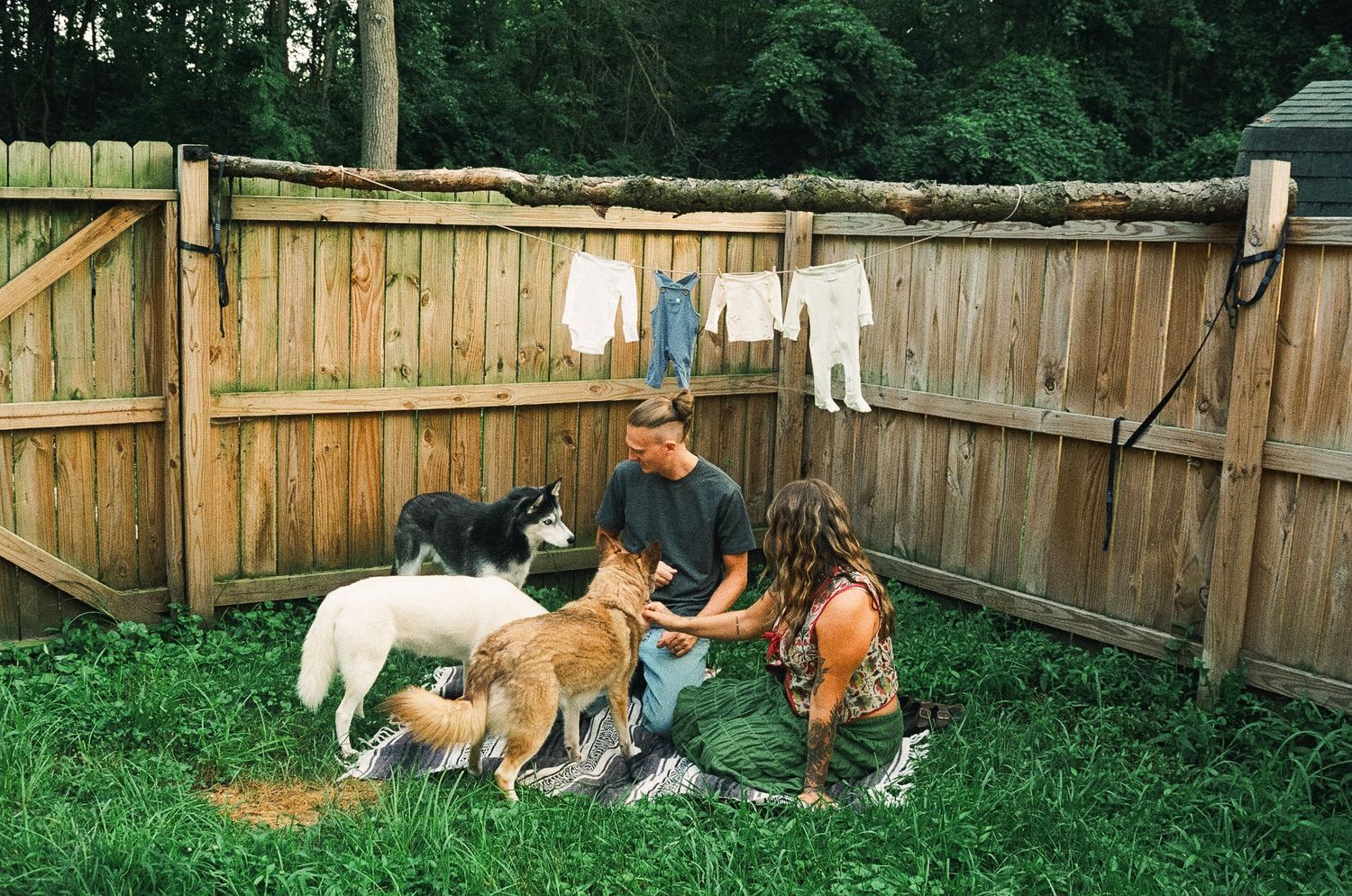 Two people interact with dogs in a fenced backyard with clothes hanging on a line.