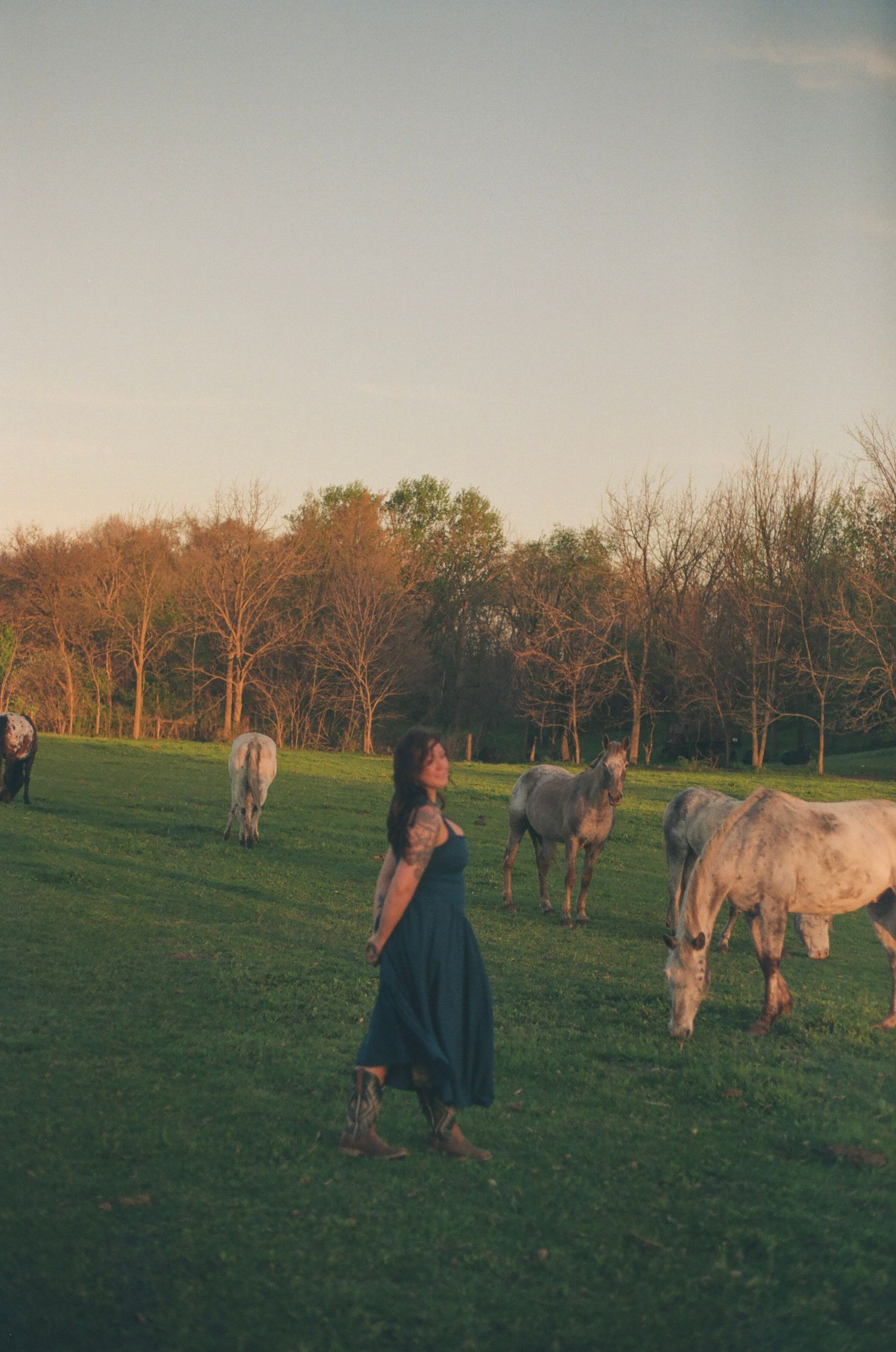 Woman in teal dress looks skyward surrounded by grazing white horses in a golden hour pasture.