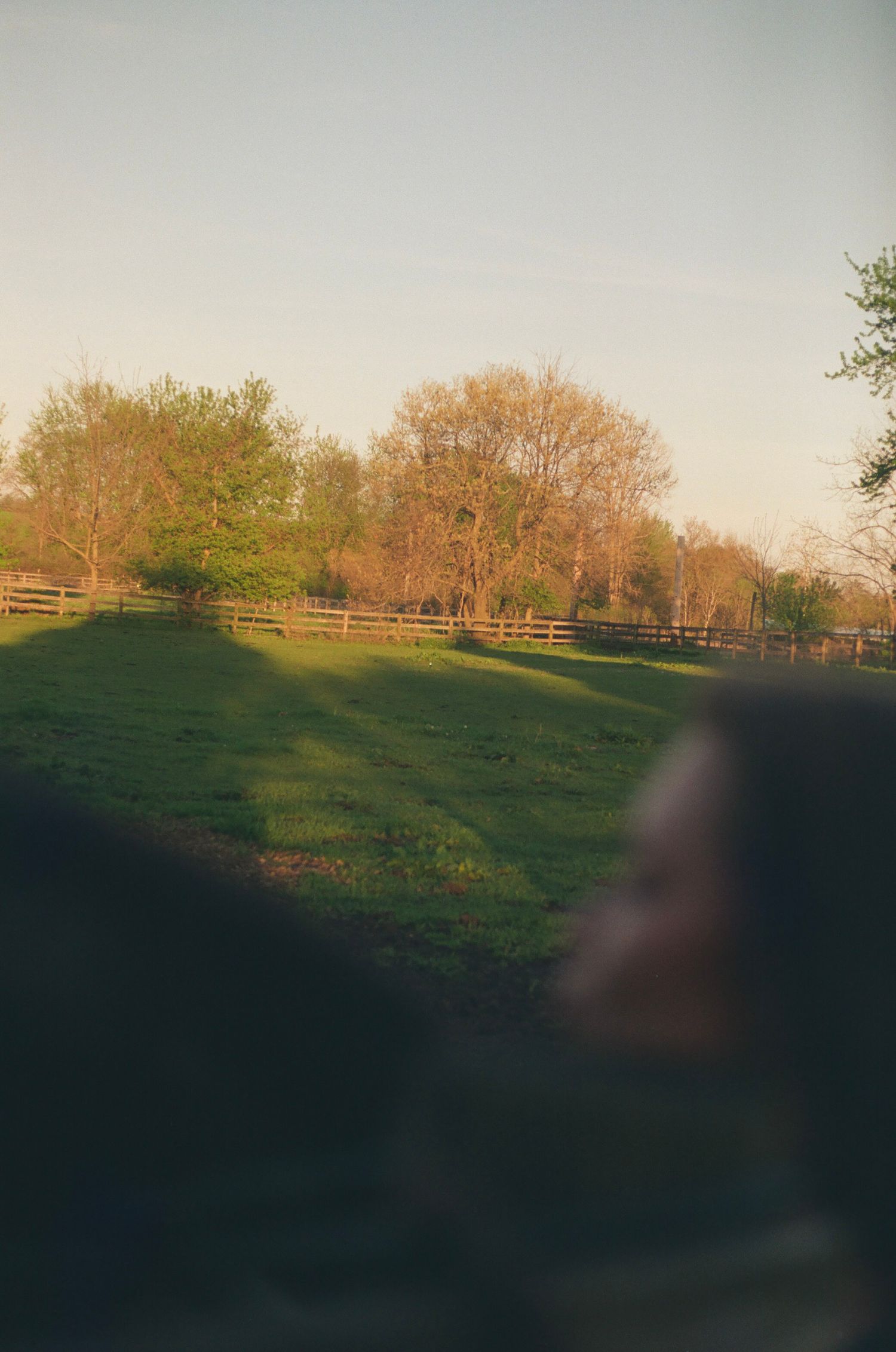 A serene green pasture with wooden fence and trees glowing in golden hour light on a farm.