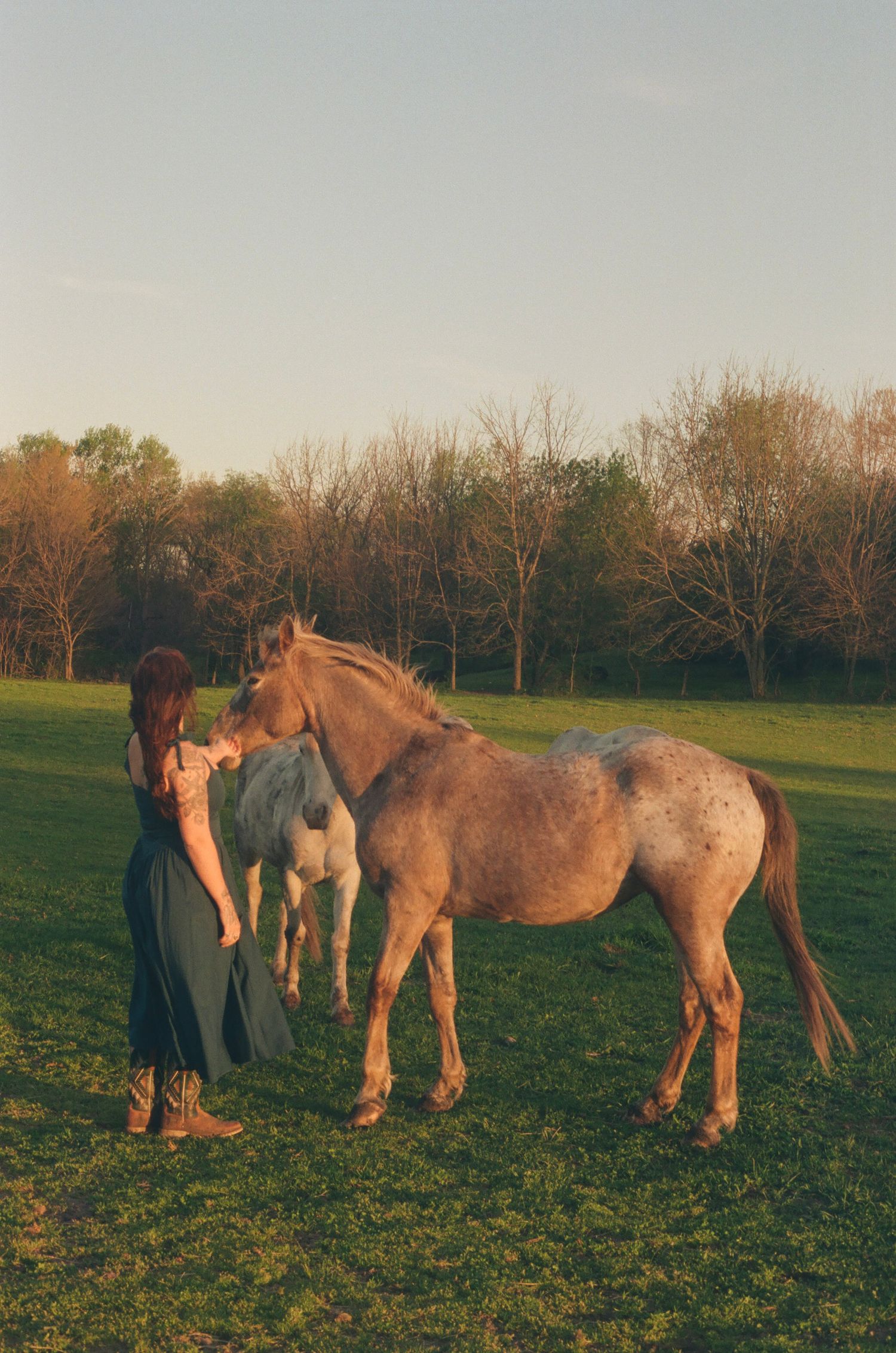 Woman in teal dress standing beside a large Appaloosa horse in a sunlit open pasture.