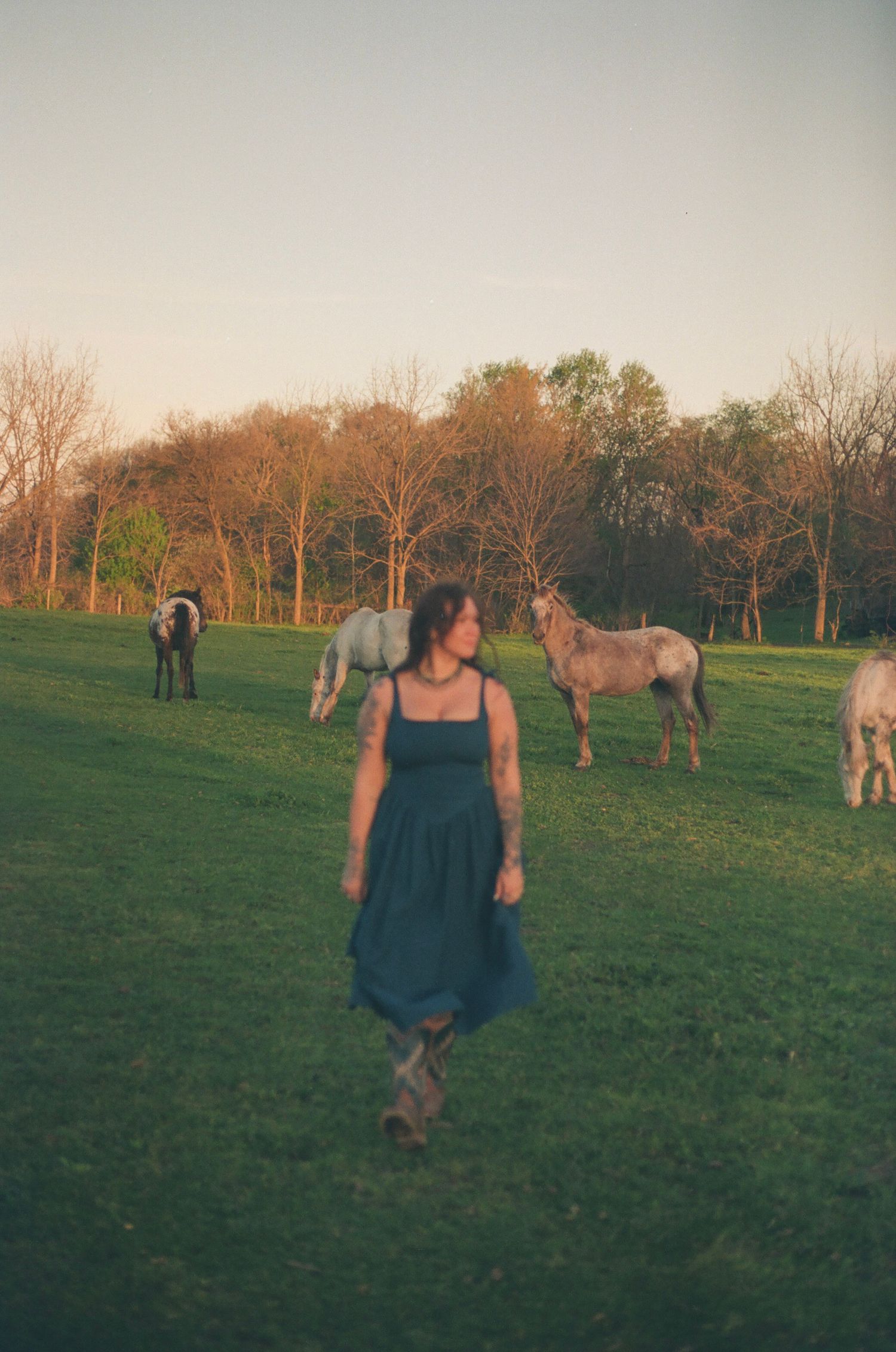 Woman in teal dress walks toward camera with horses grazing behind her at golden hour.
