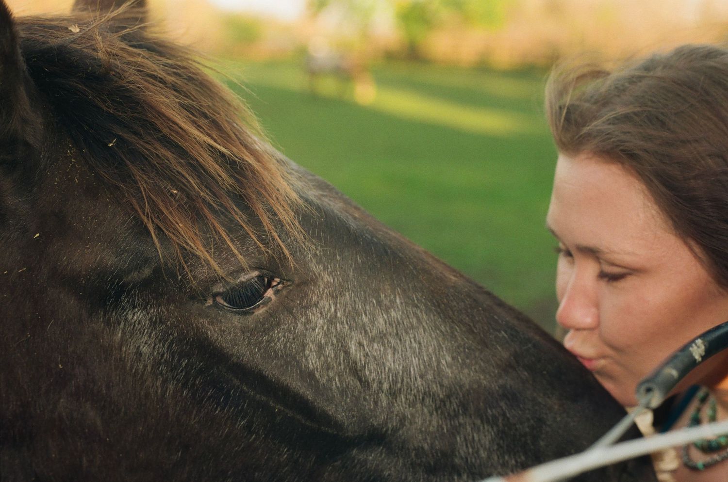 A woman gently kissing a dark horse on the face in an intimate outdoor moment.
