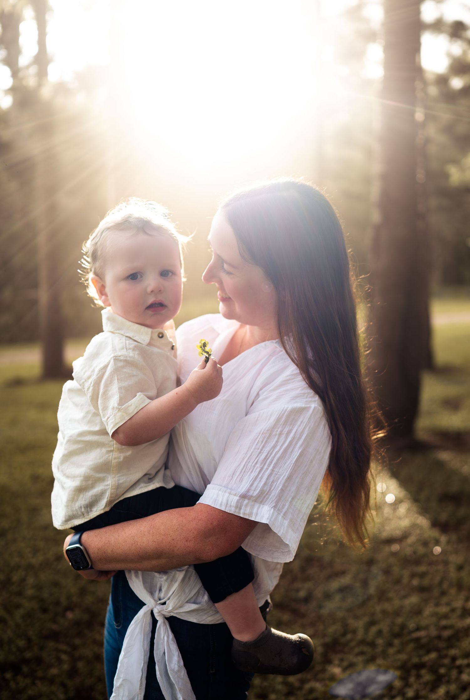 Intimate family moment captured in warm sunlight among tall pine trees.
