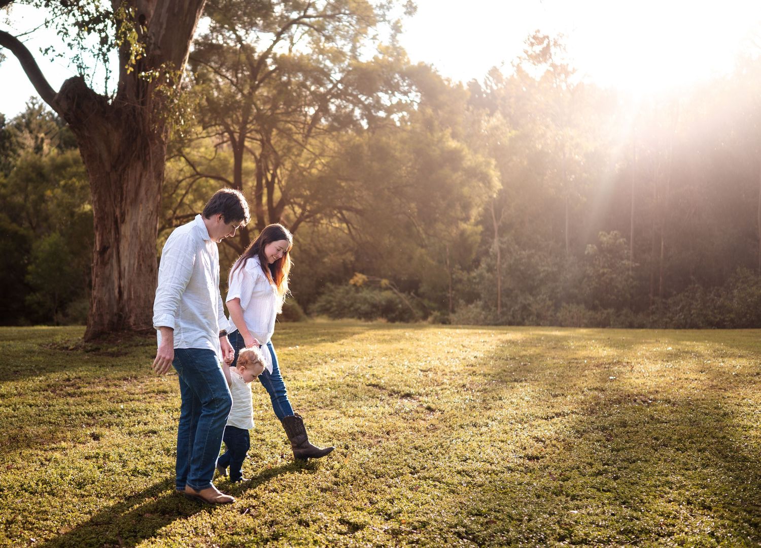 Sun-drenched landscape photo of a family gathering in a grassy park.
