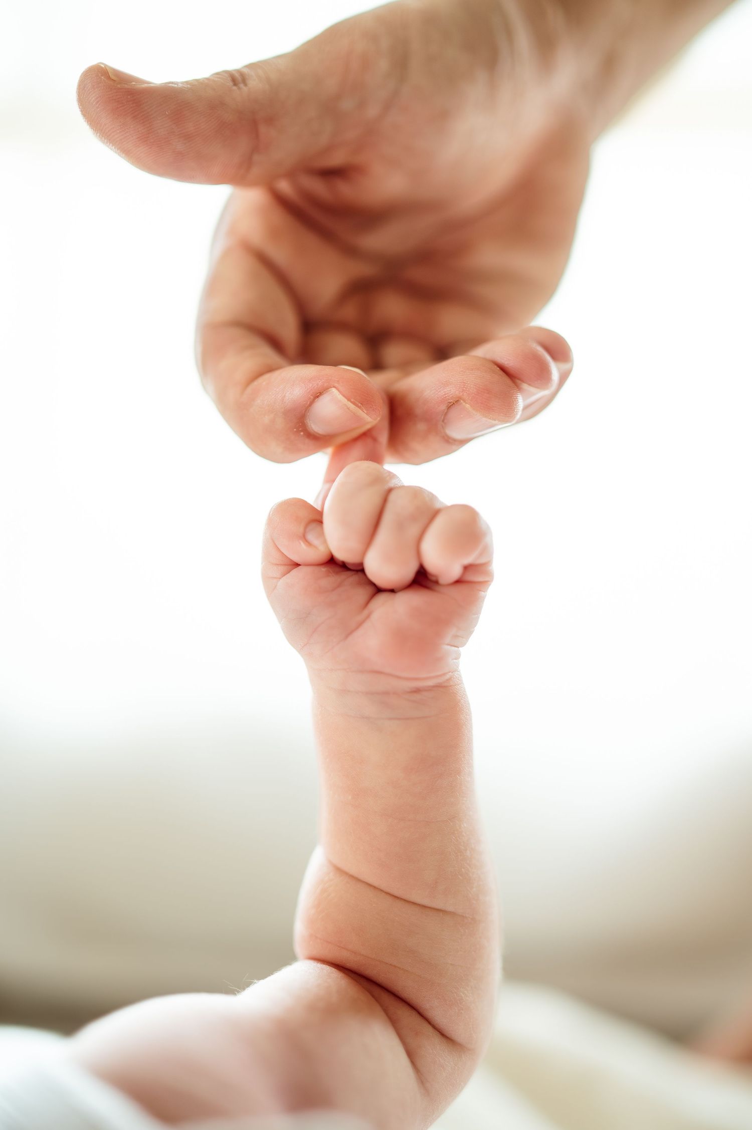 Close-up of tiny newborn baby feet and hands against white background.