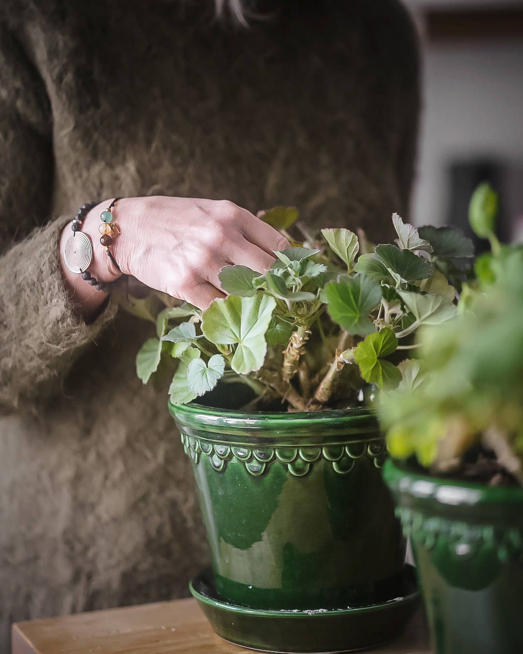 Hand som arrangerar gröna växter och blommor i en vas