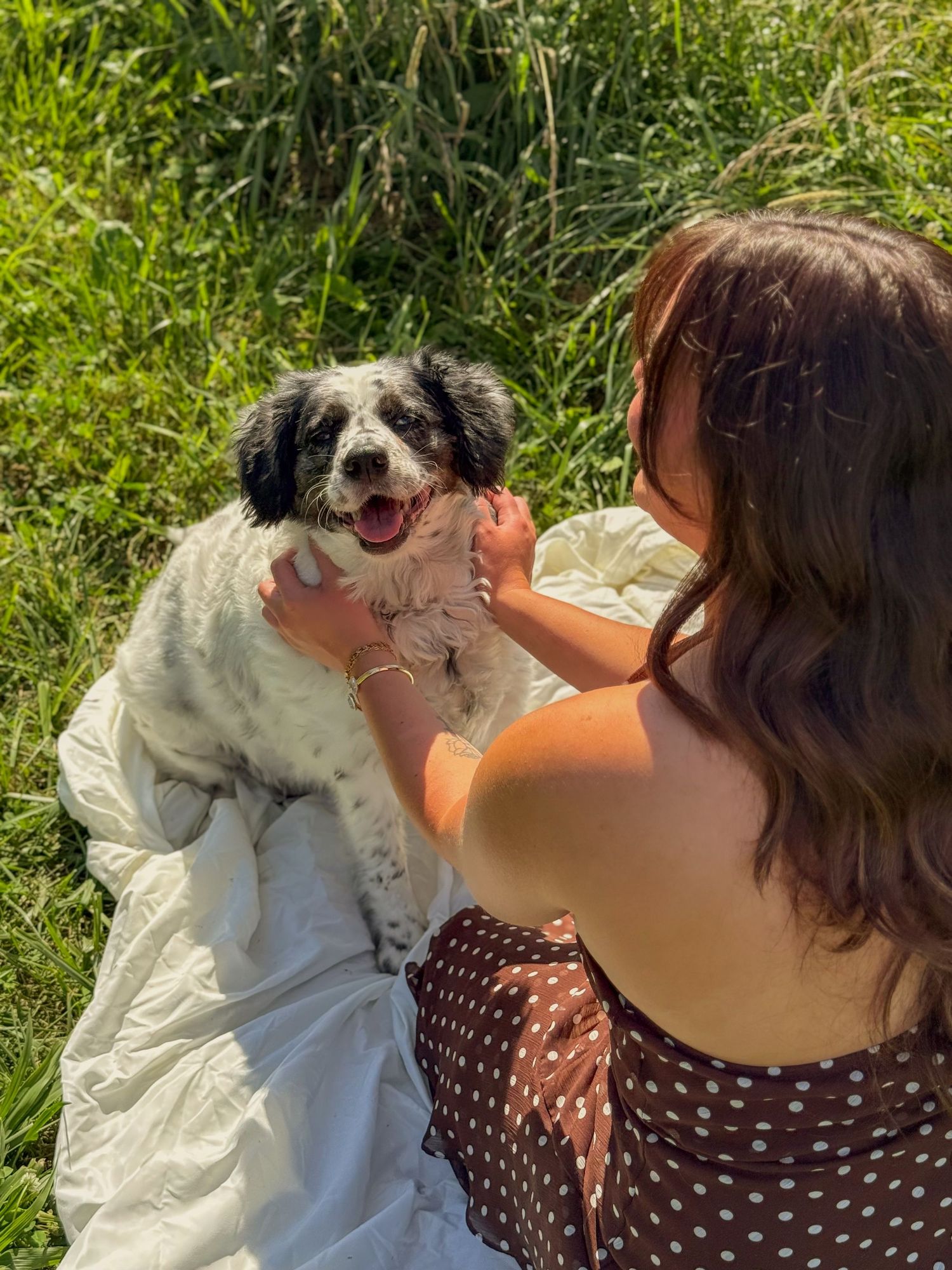 Girl petting dog.