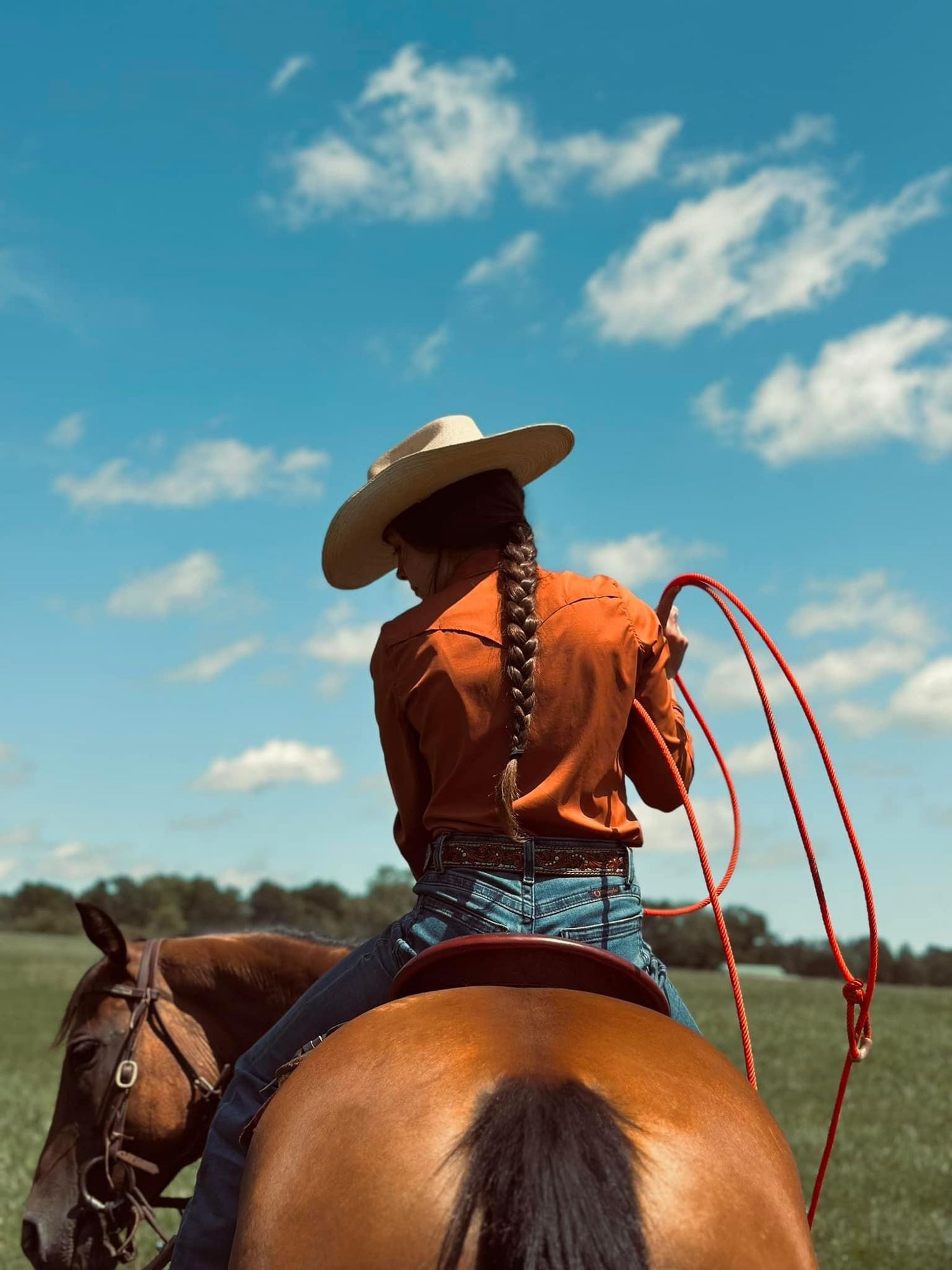 Horse rider back turned blue sky.
