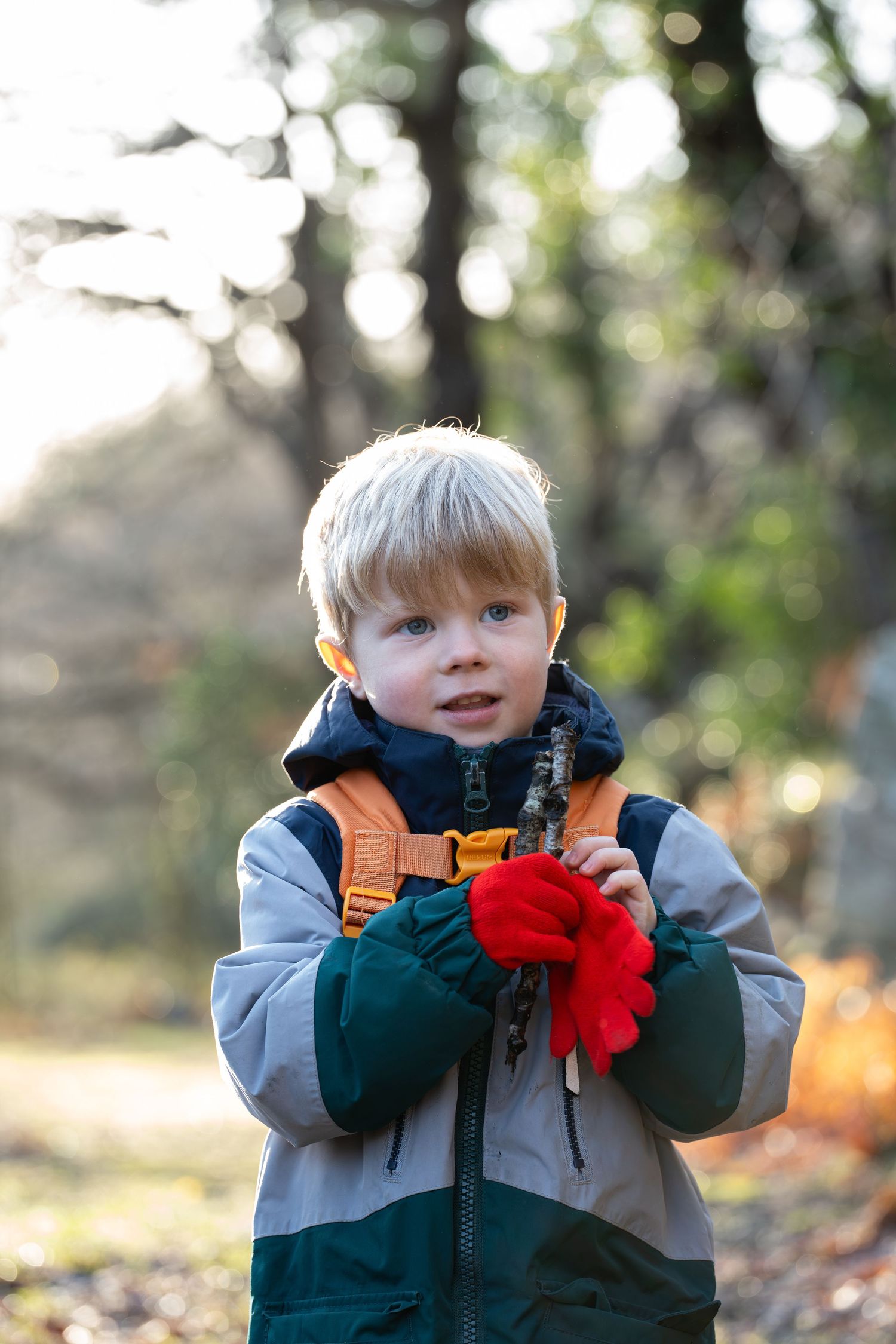 A young child wearing a knitted hat and red gloves standing in sunlit woodland.