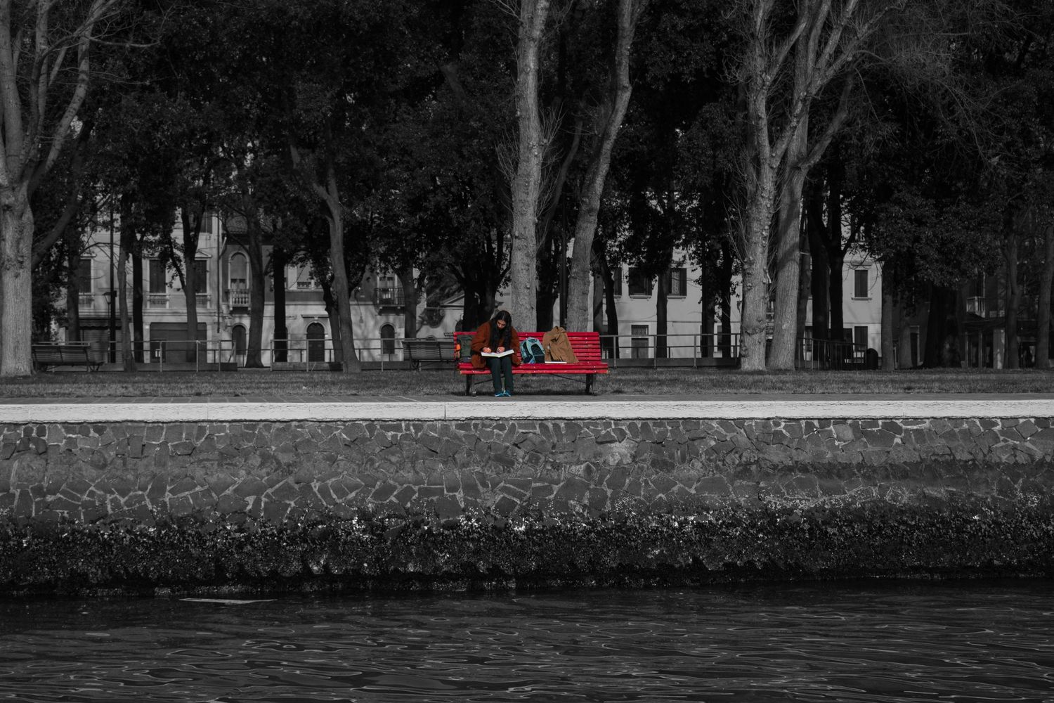 Black and white street photo with a red bench as the only color, beside a tree-lined waterfront promenade.