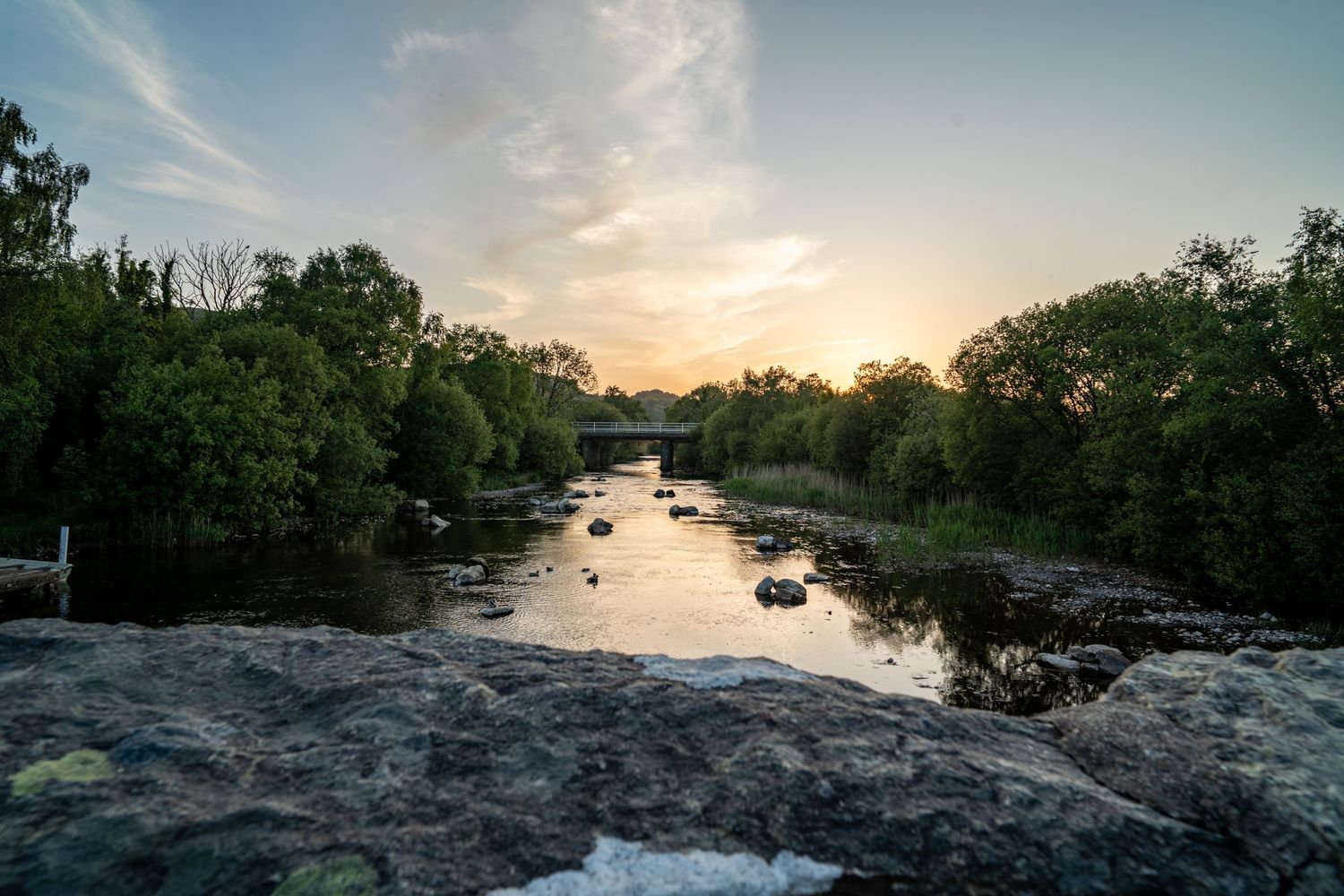 Golden evening light reflected in a rocky river bordered by leafy trees.