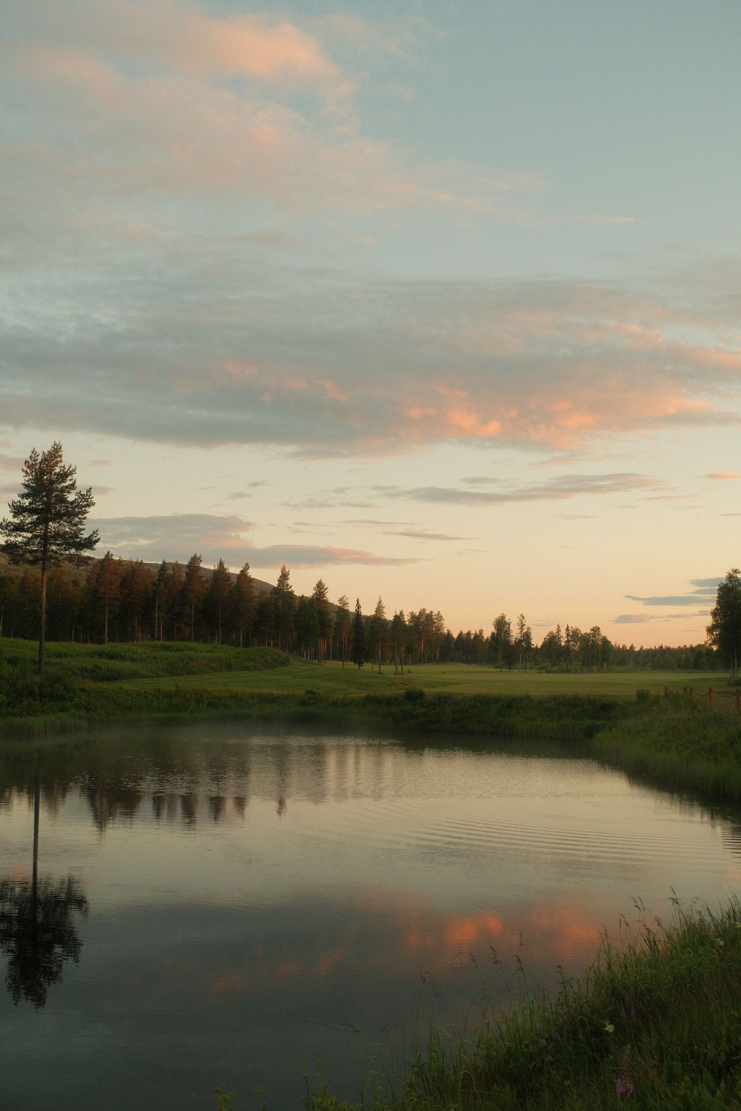 Pastel sunset sky over a calm lake and pine forest in the Nordic summer