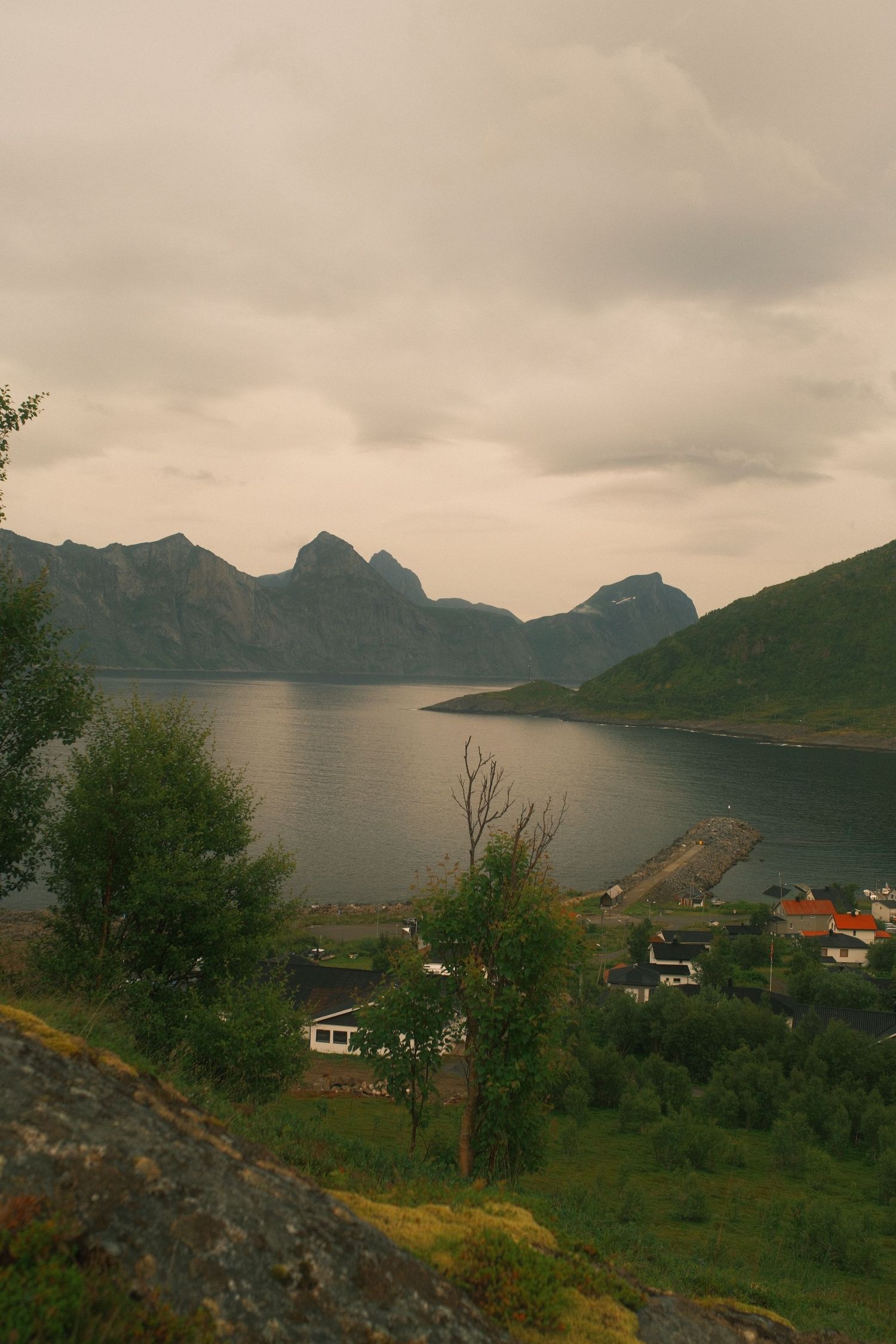 Small village on the shore of a fjord beneath misty peaks on Senja, Norway
