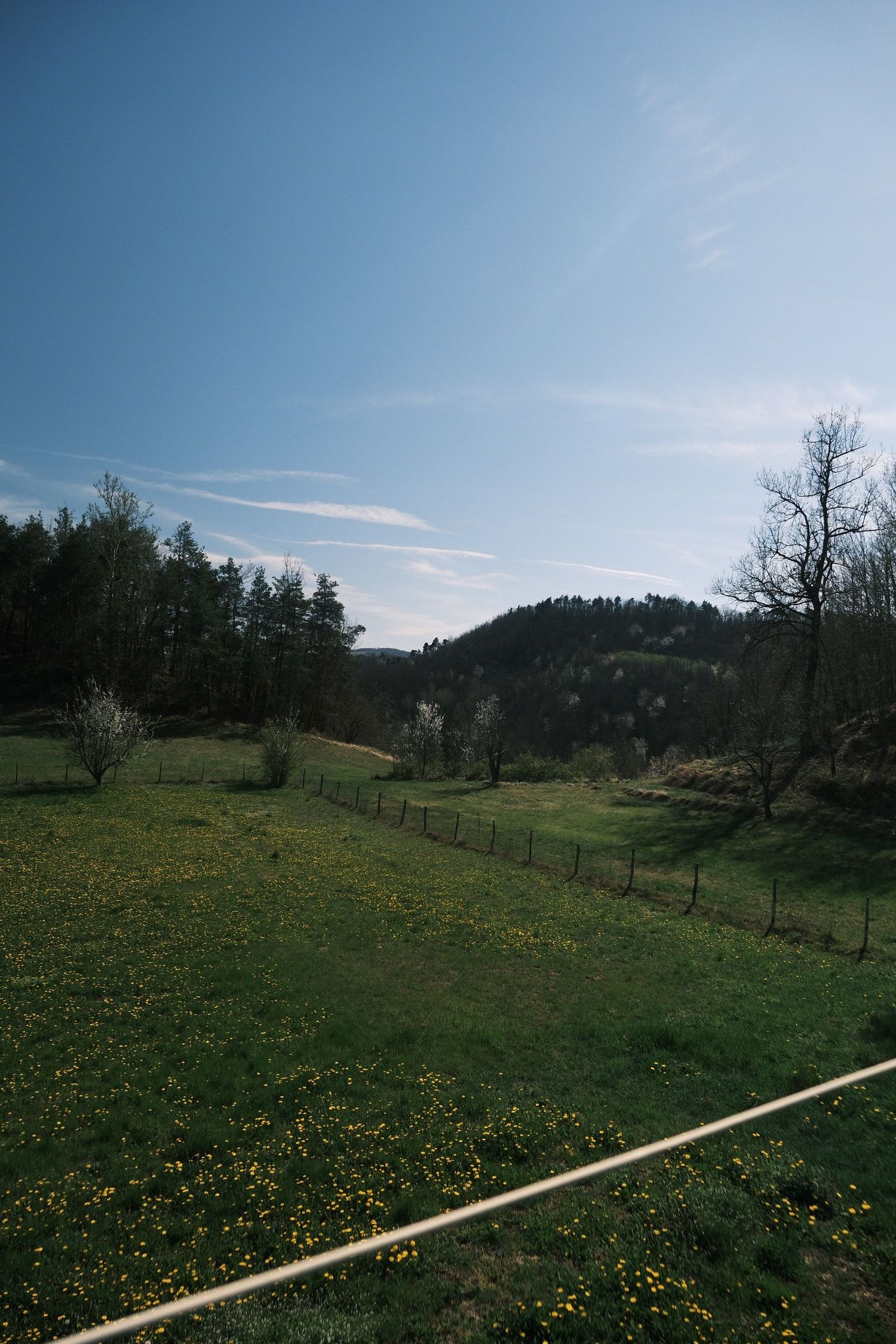 Green meadow with wildflowers and wooded hills under a clear sky in northern Italy