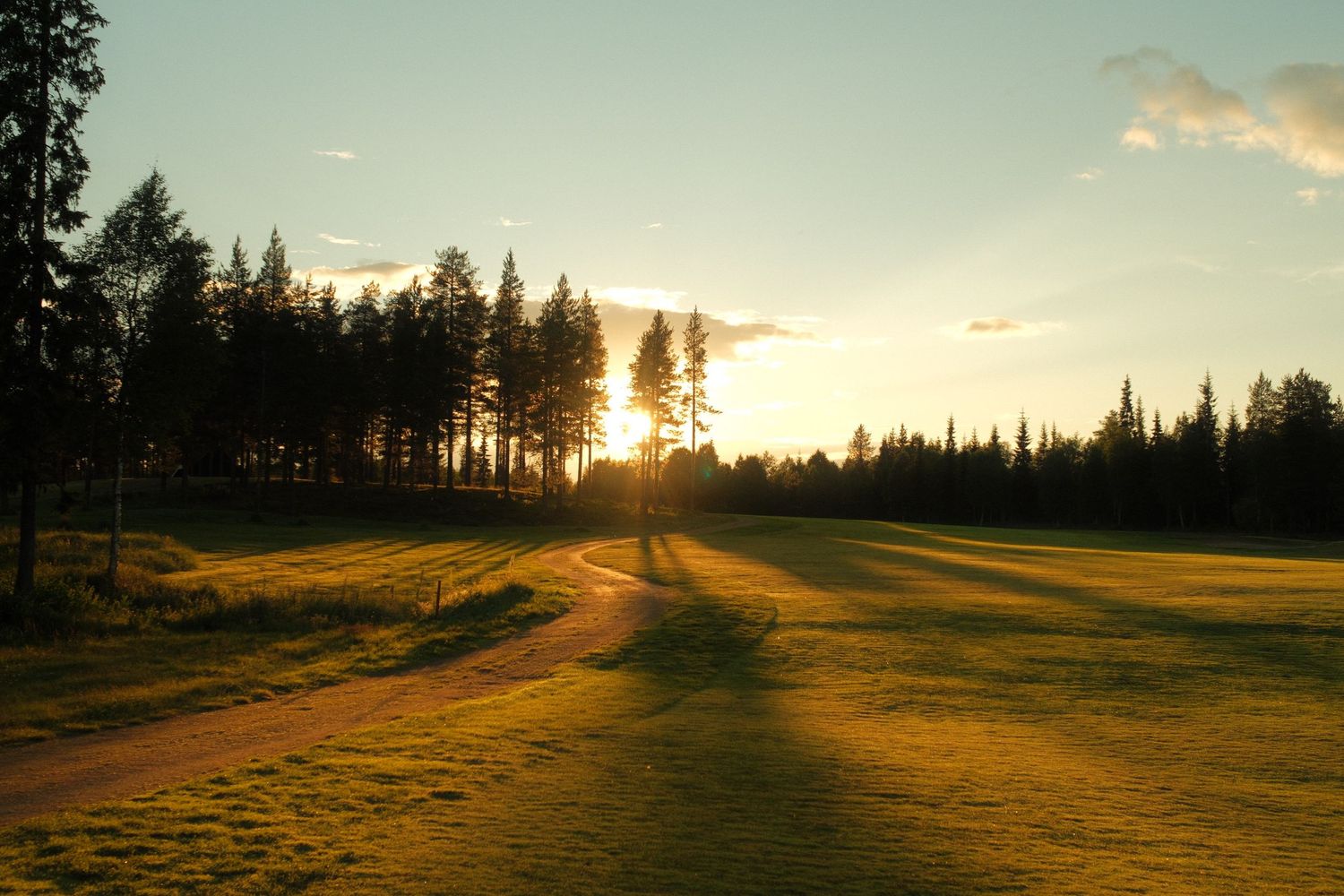 Golden midnight sun shining over a forest track on a Nordic summer road trip