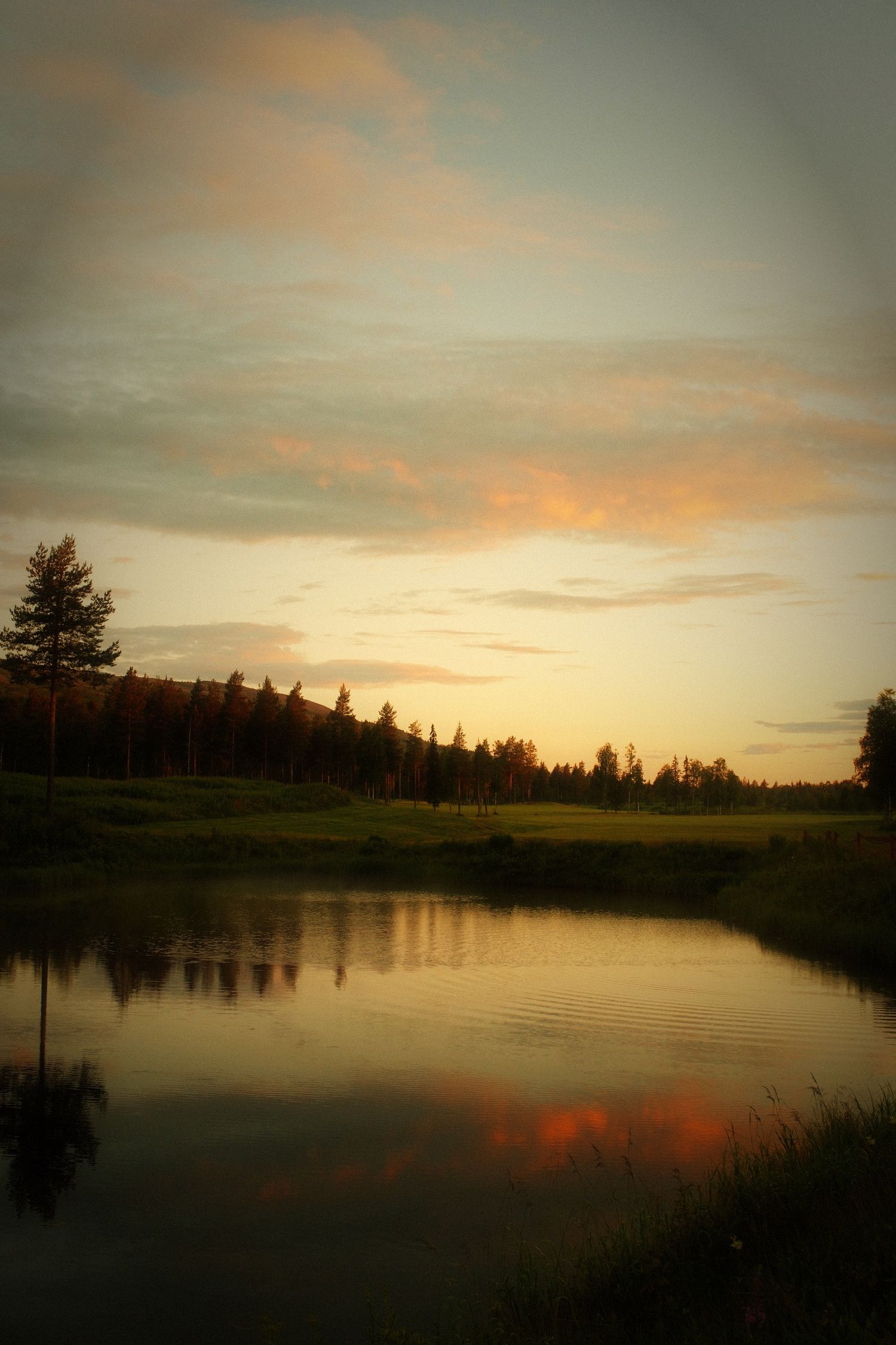 Calm lake reflecting a glowing sunset sky and pine trees on a Nordic summer night