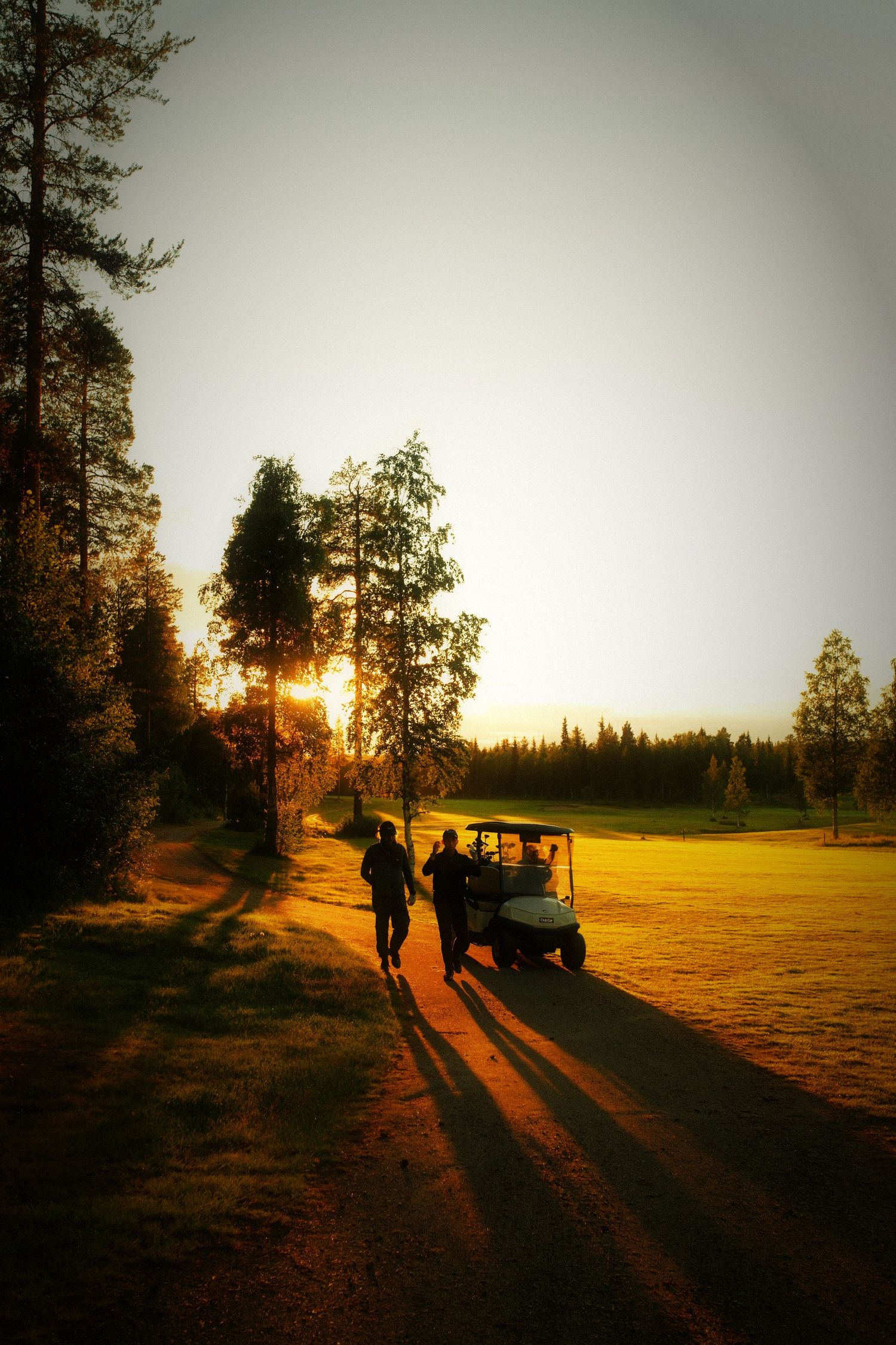 Two people and a cart silhouetted against the low midnight sun in a Nordic forest