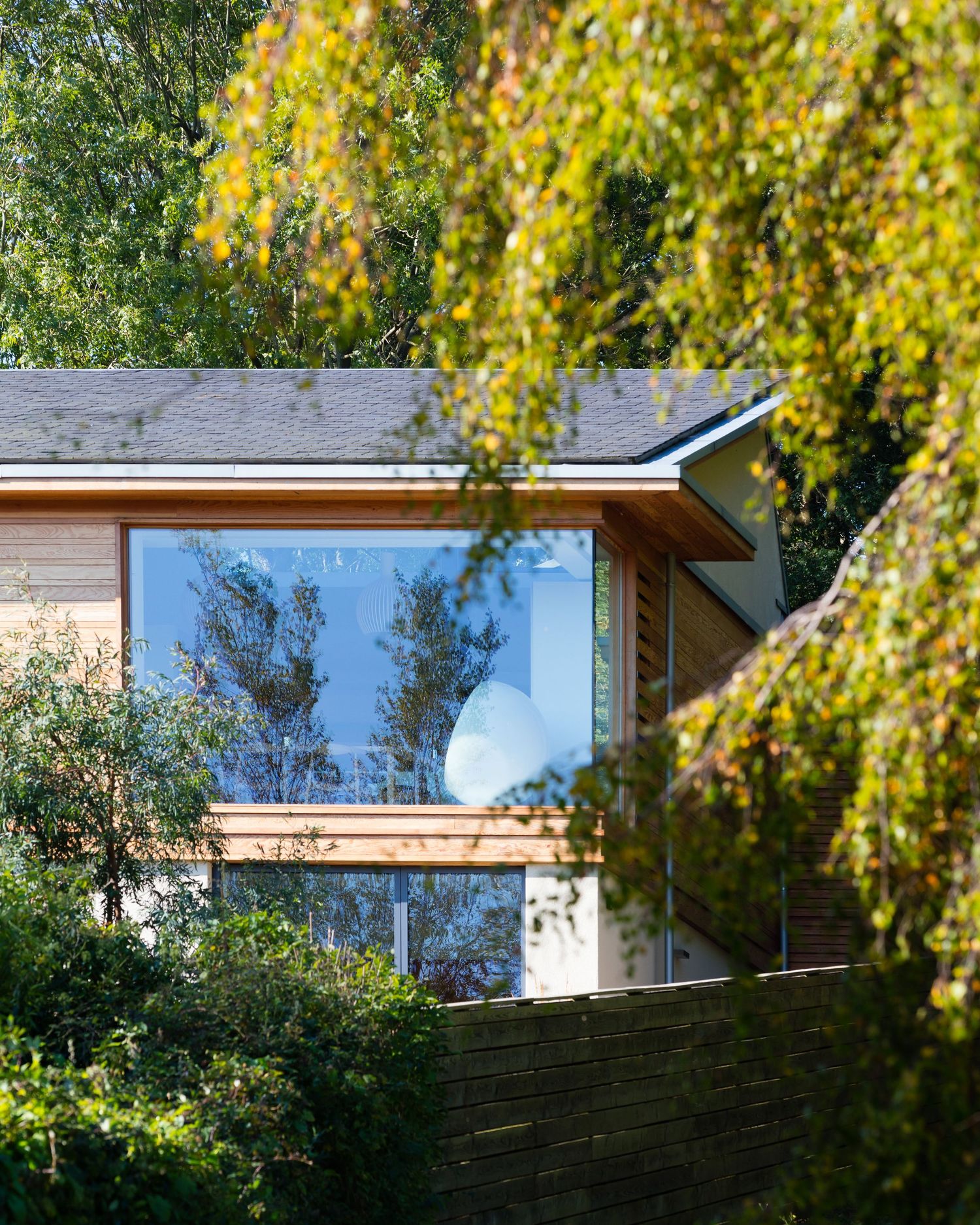 Modern wooden house with large glass windows surrounded by lush green trees and foliage in natural setting.