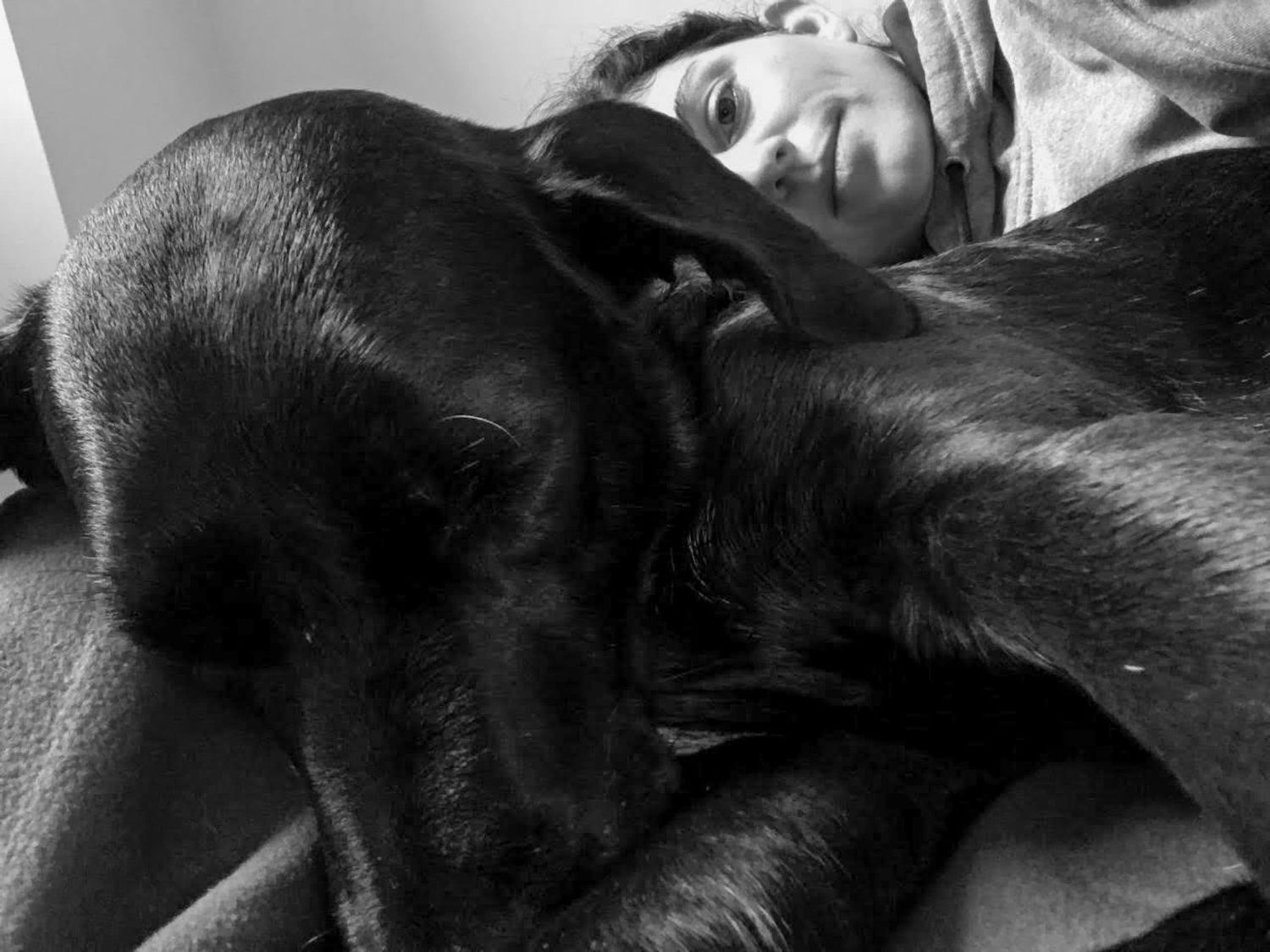 Black and white photo of a person cuddling with a sleepy black Labrador dog indoors.