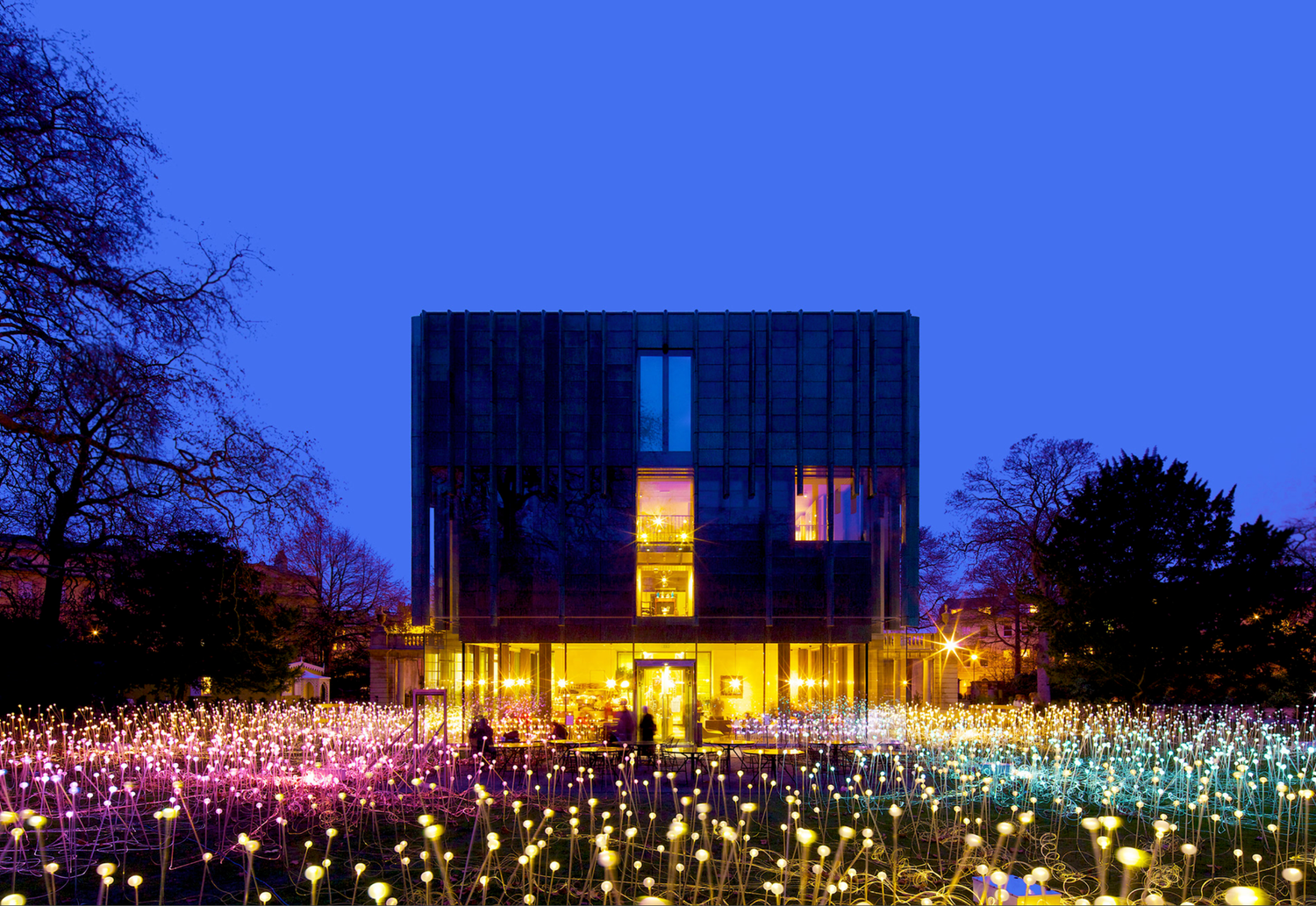 Modern building illuminated at dusk surrounded by a field of glowing light installations.