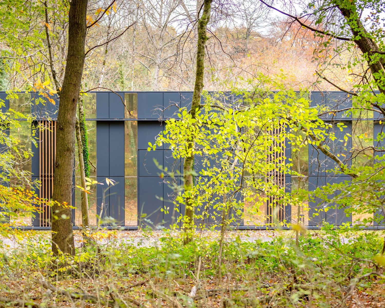 Modern dark building nestled among autumn trees with vibrant yellow-green foliage in a woodland setting.
