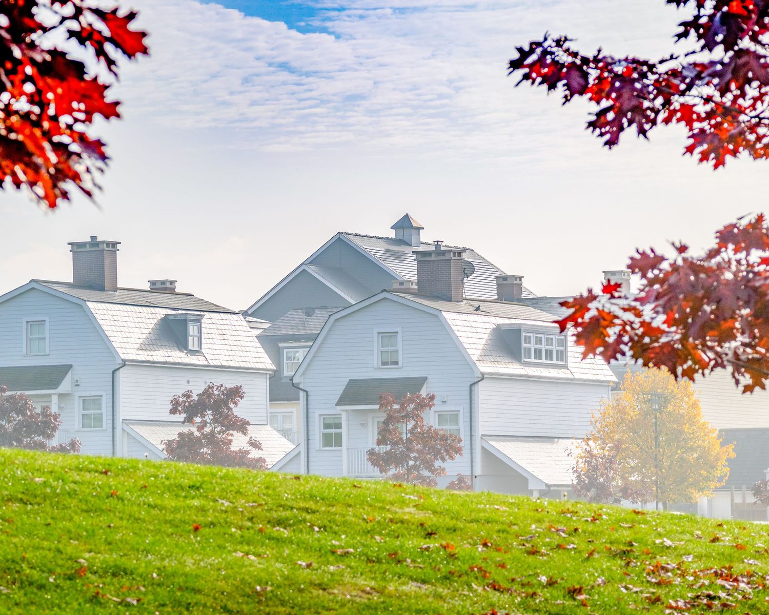 White colonial homes on a green hill framed by vibrant red autumn maple leaves under a misty blue sky.
