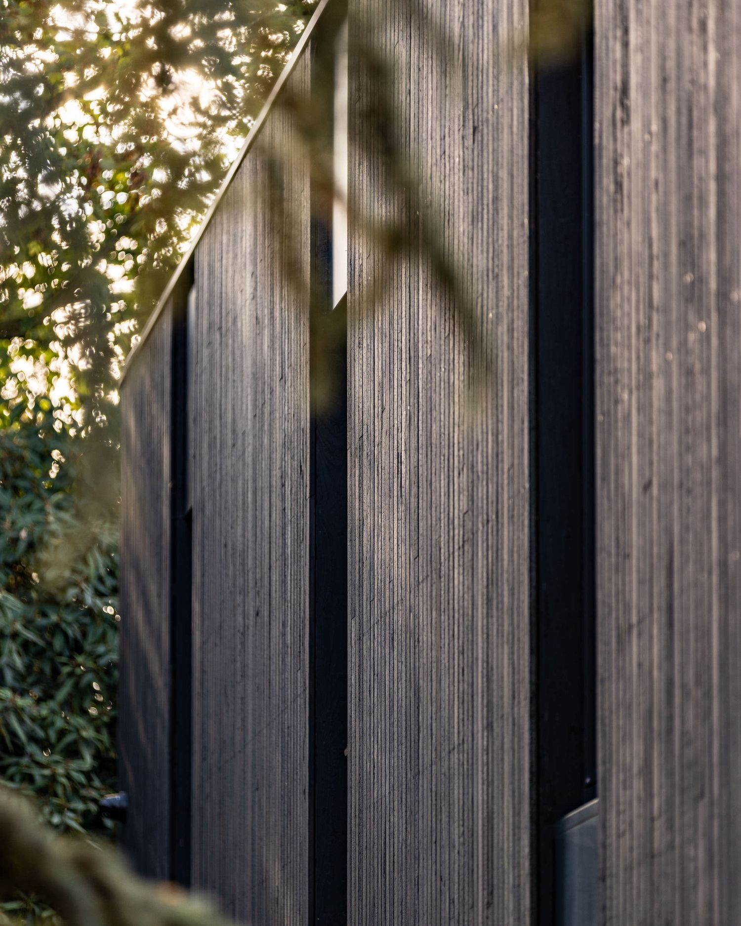 Close-up of dark weathered timber cladding with vertical shadow gaps, surrounded by lush green foliage in soft light.