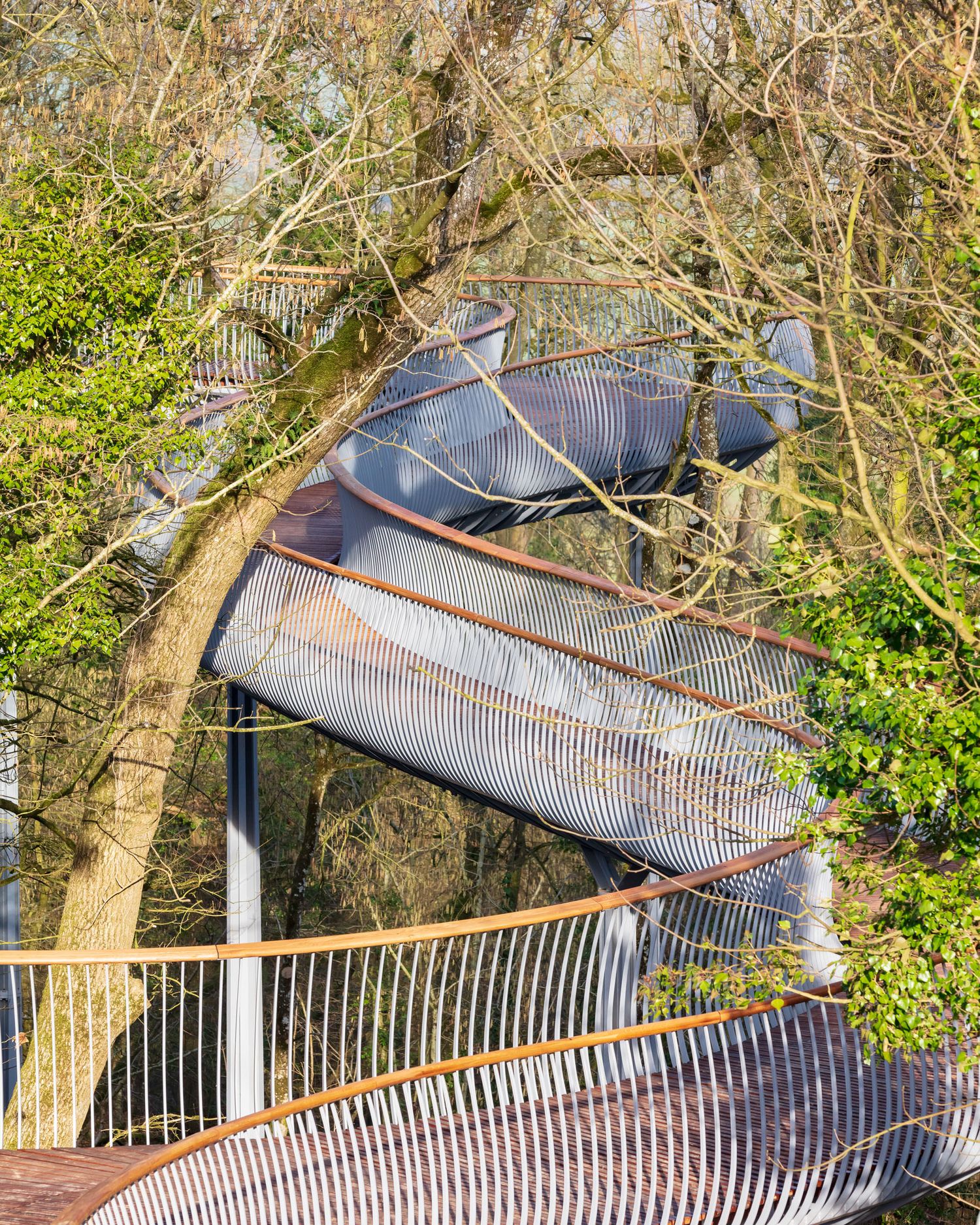 Curved metallic slide structure winding through bare winter trees on an elevated walkway.