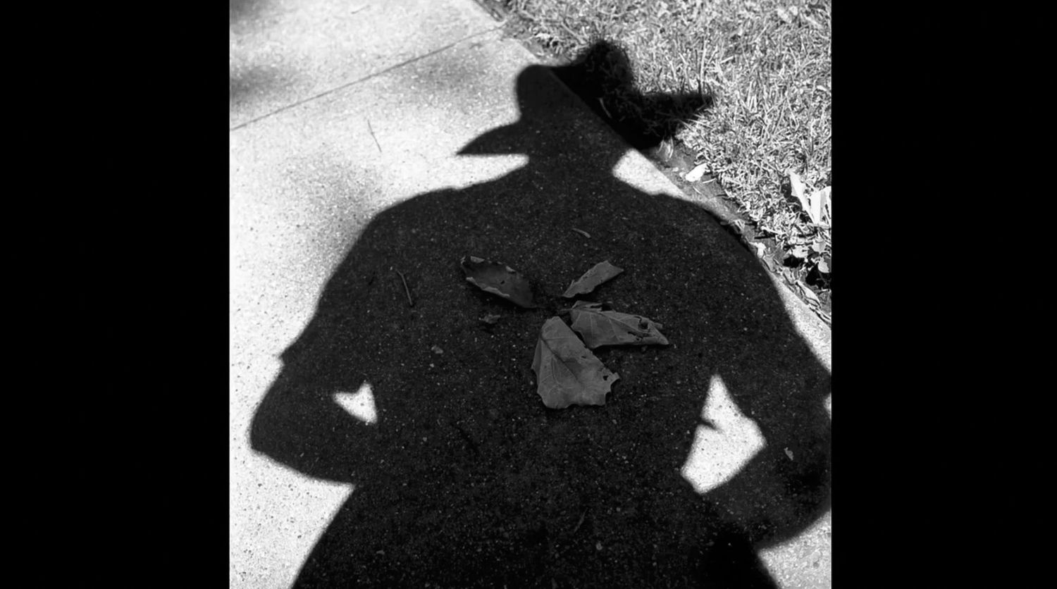 Black and white photo of a person's shadow in a brimmed hat and coat on a sidewalk, with leaves scattered across the shadow's torso.