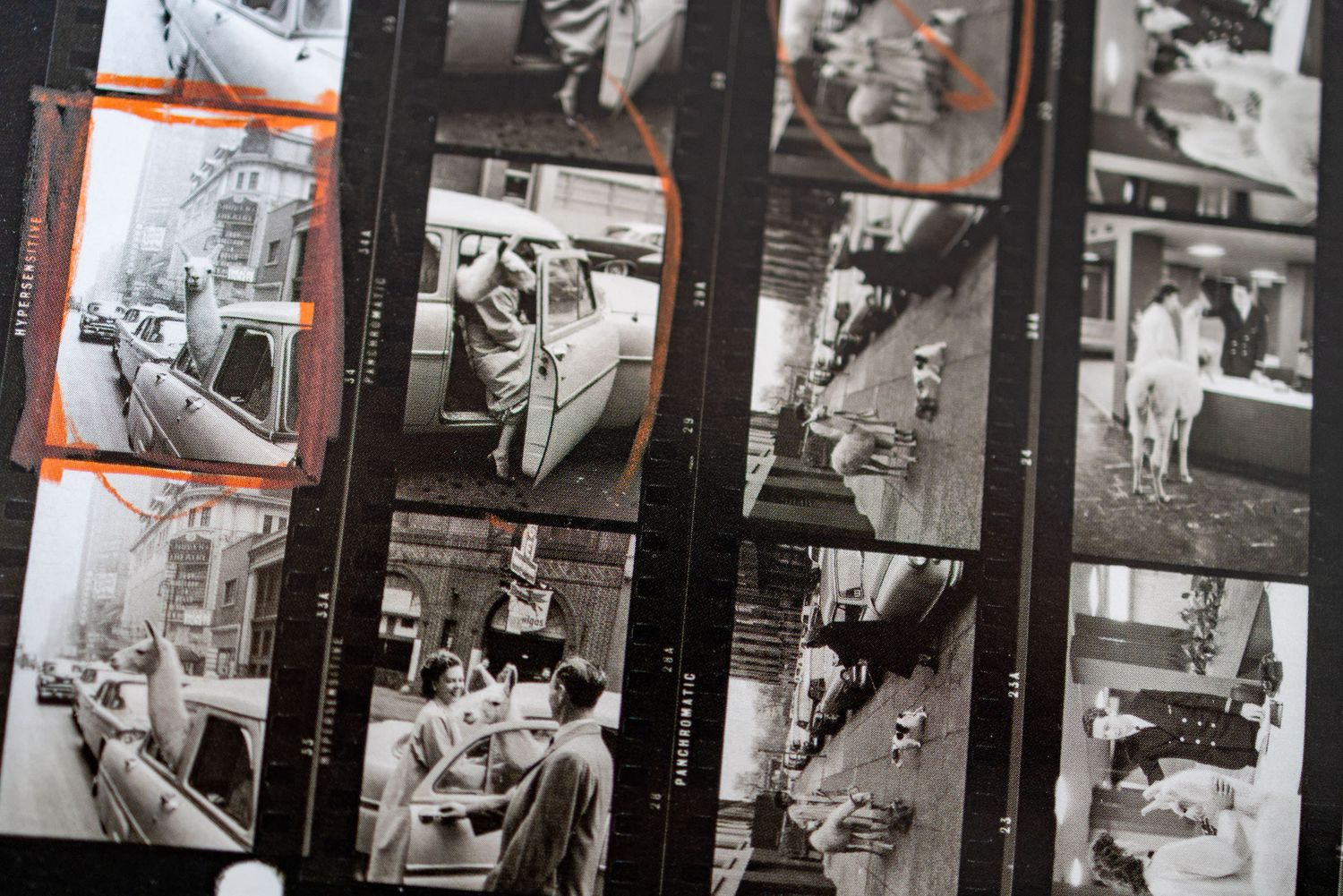 Vintage black and white contact sheet showing multiple street photography frames from mid-20th century urban scenes.