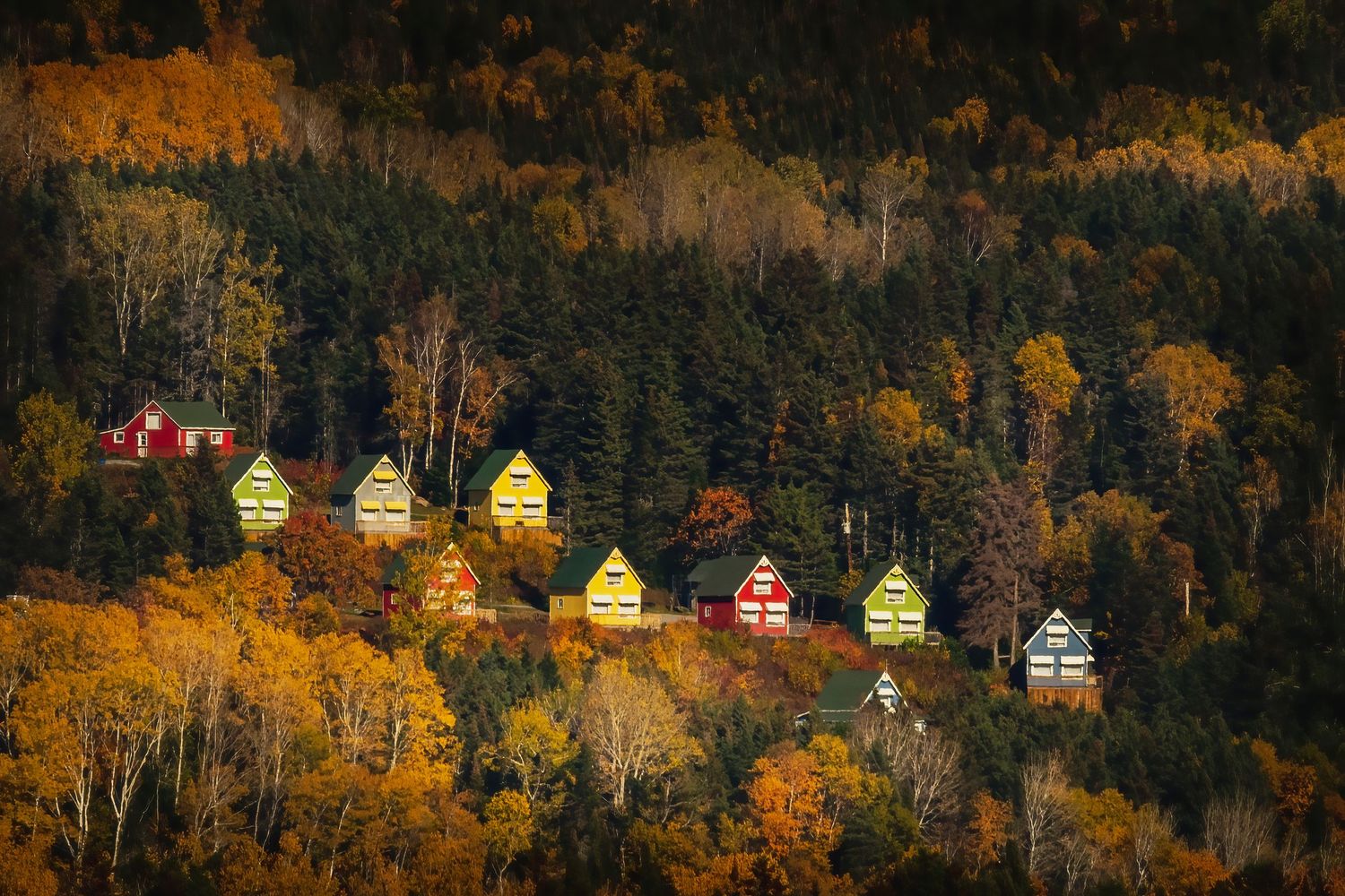 Colorful wooden cottages nestled among vibrant autumn foliage on a forested hillside in fall season.