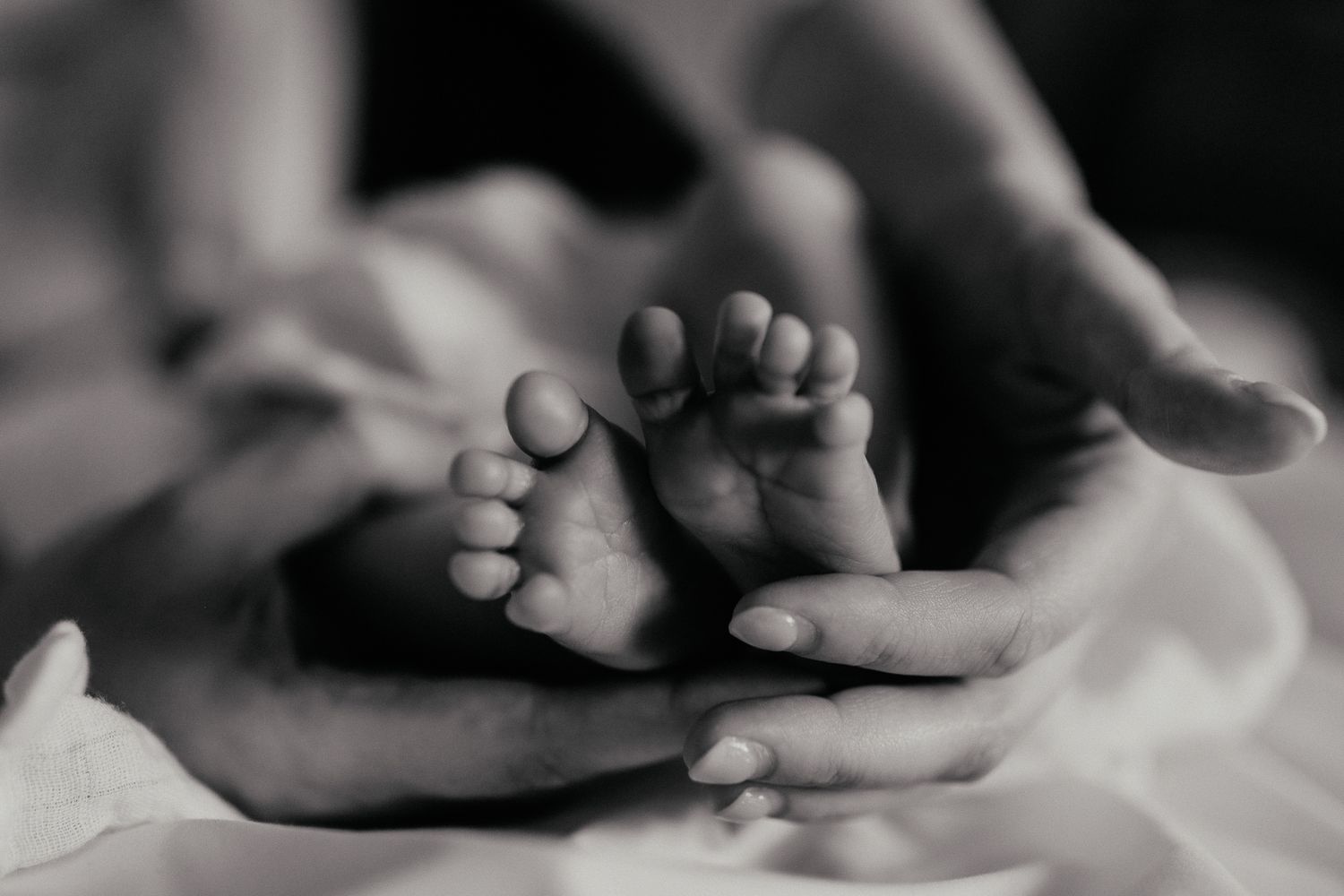 Black & White close-up macro of newborn baby feet being held by mum's hands.