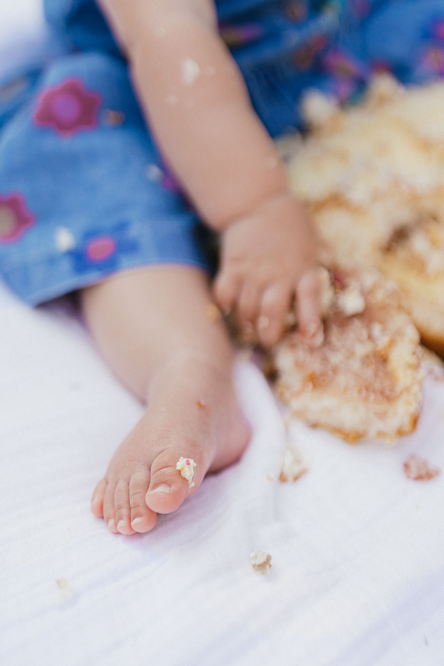 1st Birthday milestone photo session cake smash outdoors picnic.