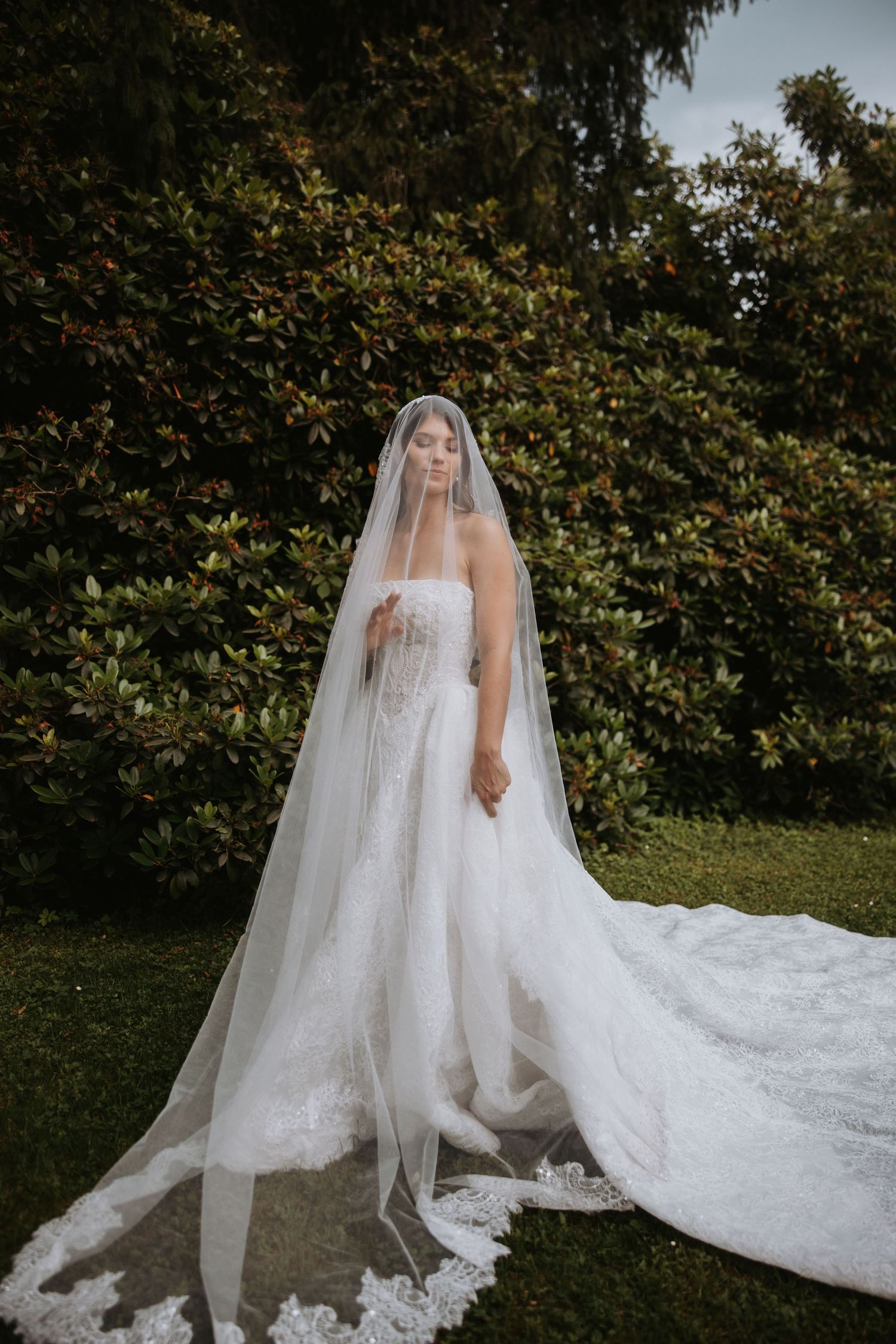 Bride in a strapless lace wedding gown with cathedral veil stands gracefully before lush green hedges.