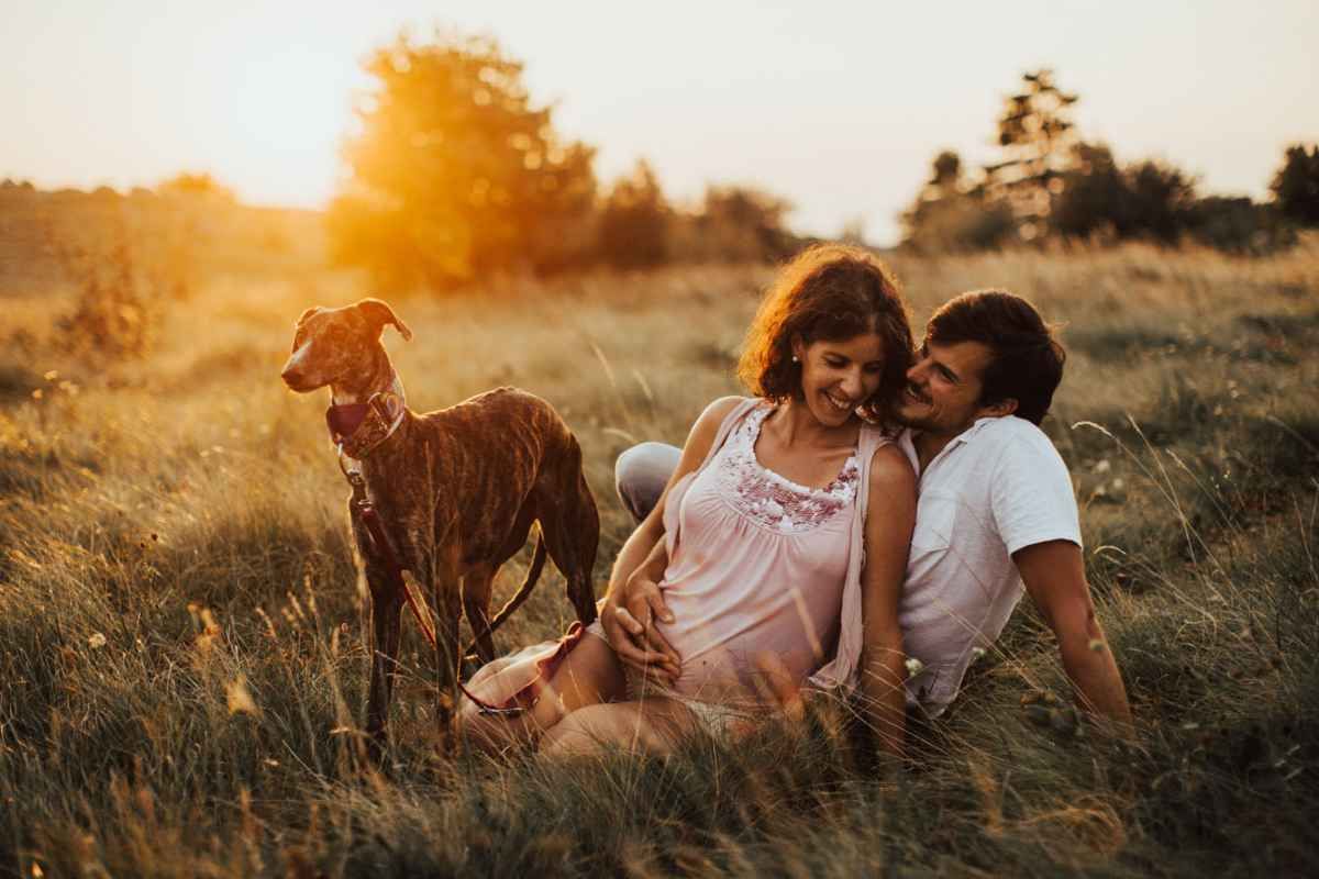 Couple sitting in golden field at sunset with a brown dog beside them.