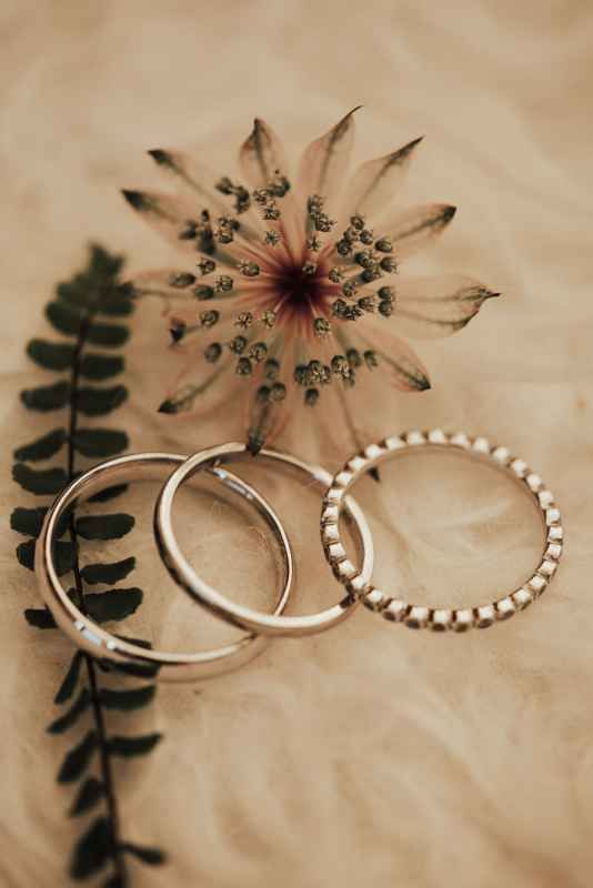 Two silver wedding bands rest beside a dried flower and fern leaf on a soft beige surface.