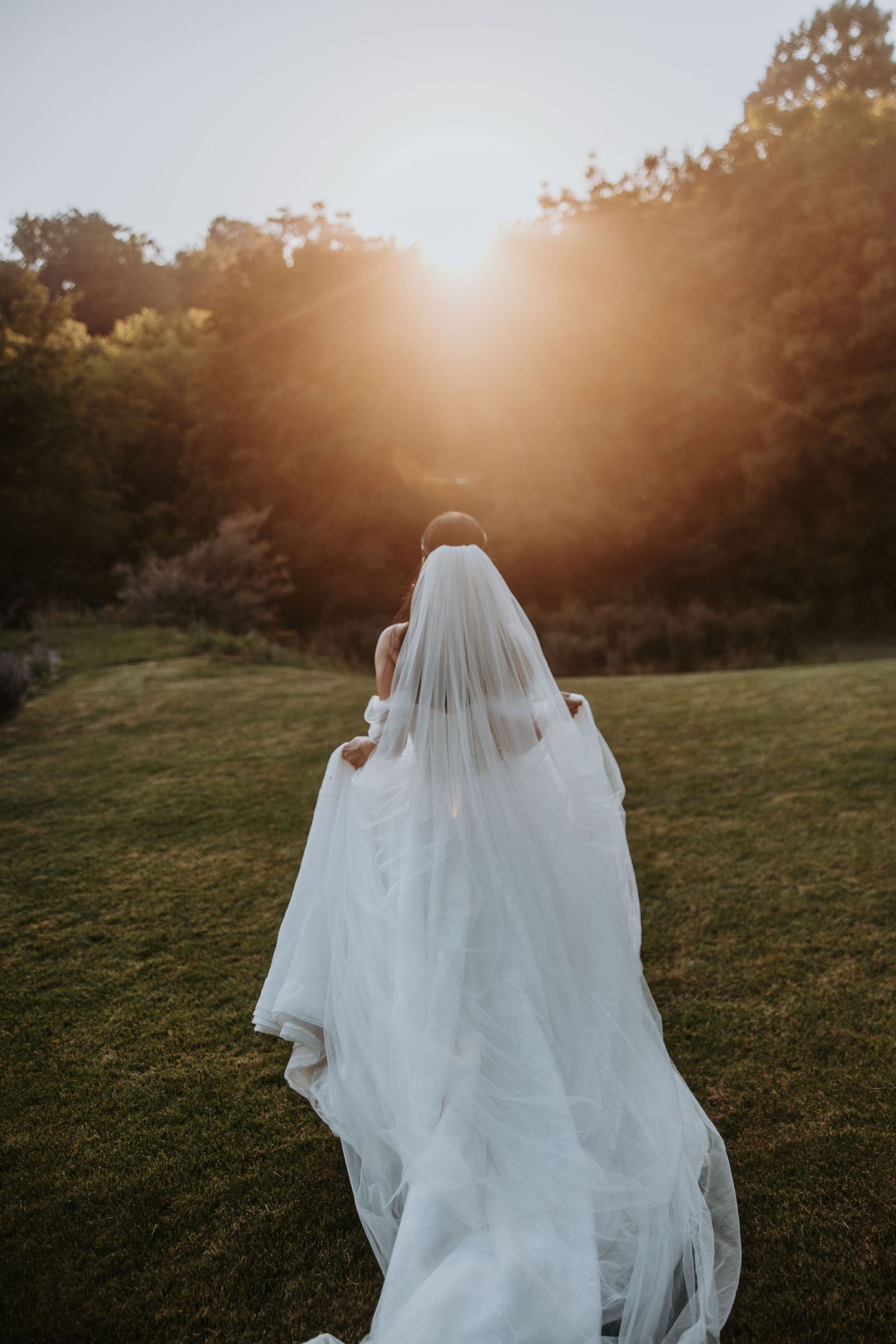 Bride in white wedding gown and veil walking toward brilliant golden sunset in lush green garden.