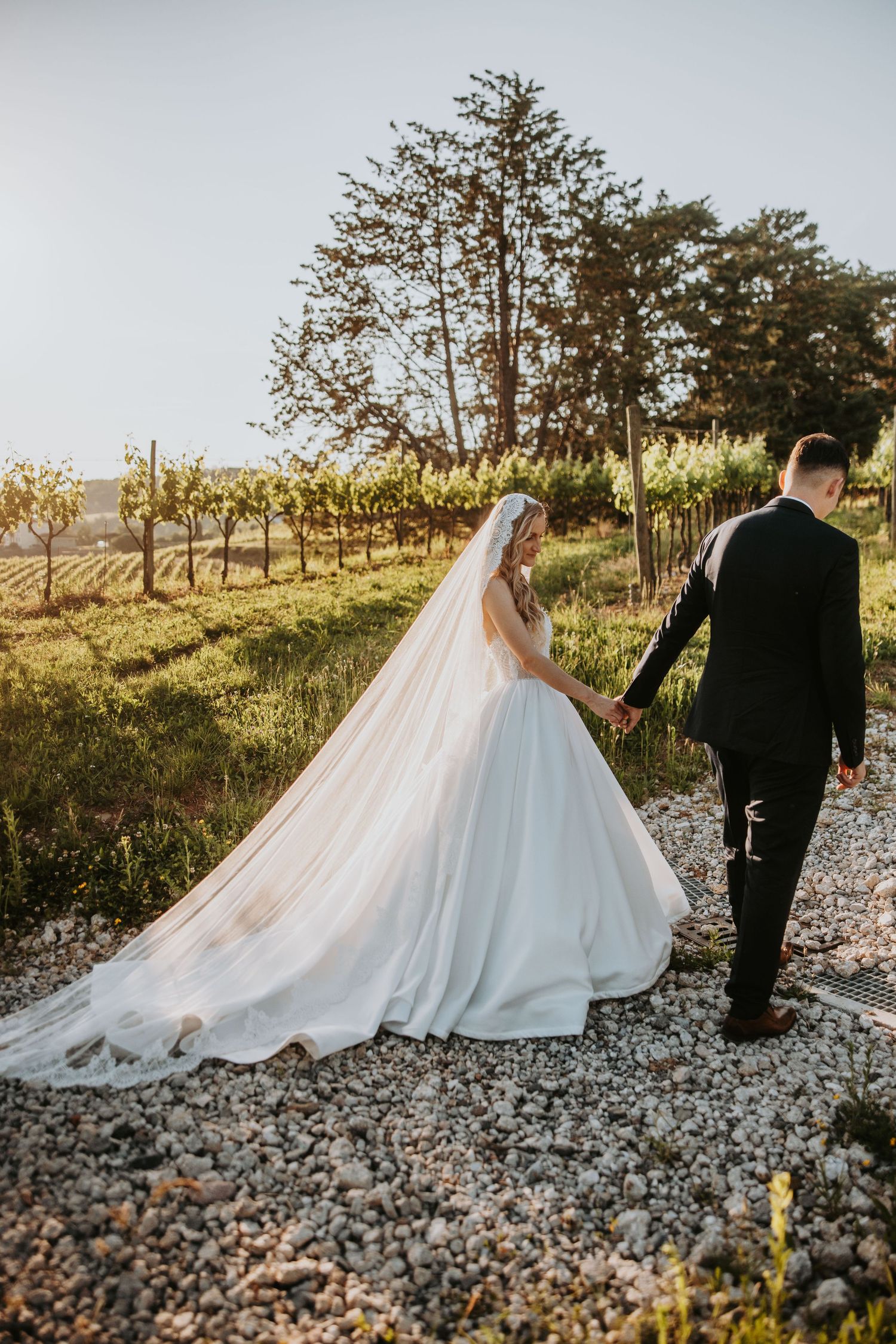 Bride and groom holding hands walking along gravel path beside vineyard at sunset.