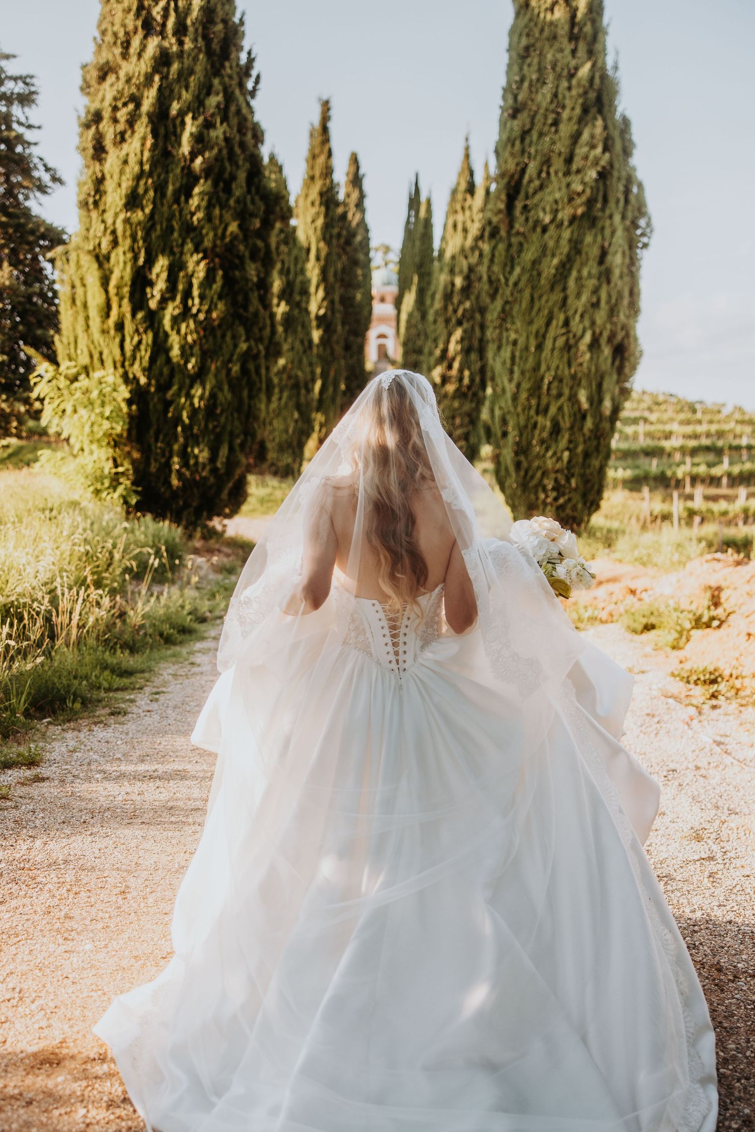 Bride in white ballgown with veil walking path lined with tall cypress trees.