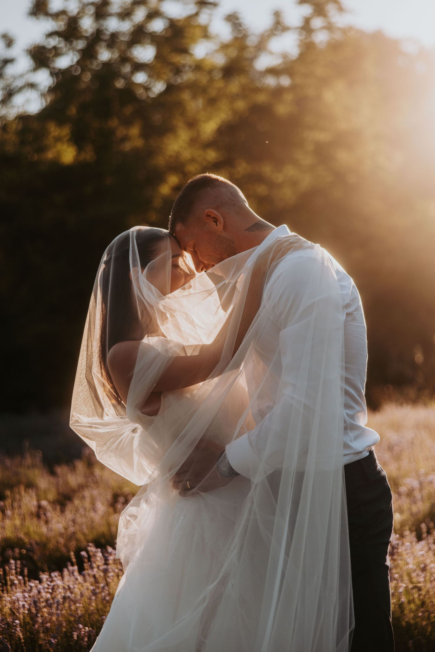 Bride and groom sharing romantic kiss under veil in golden sunset light in lavender field.