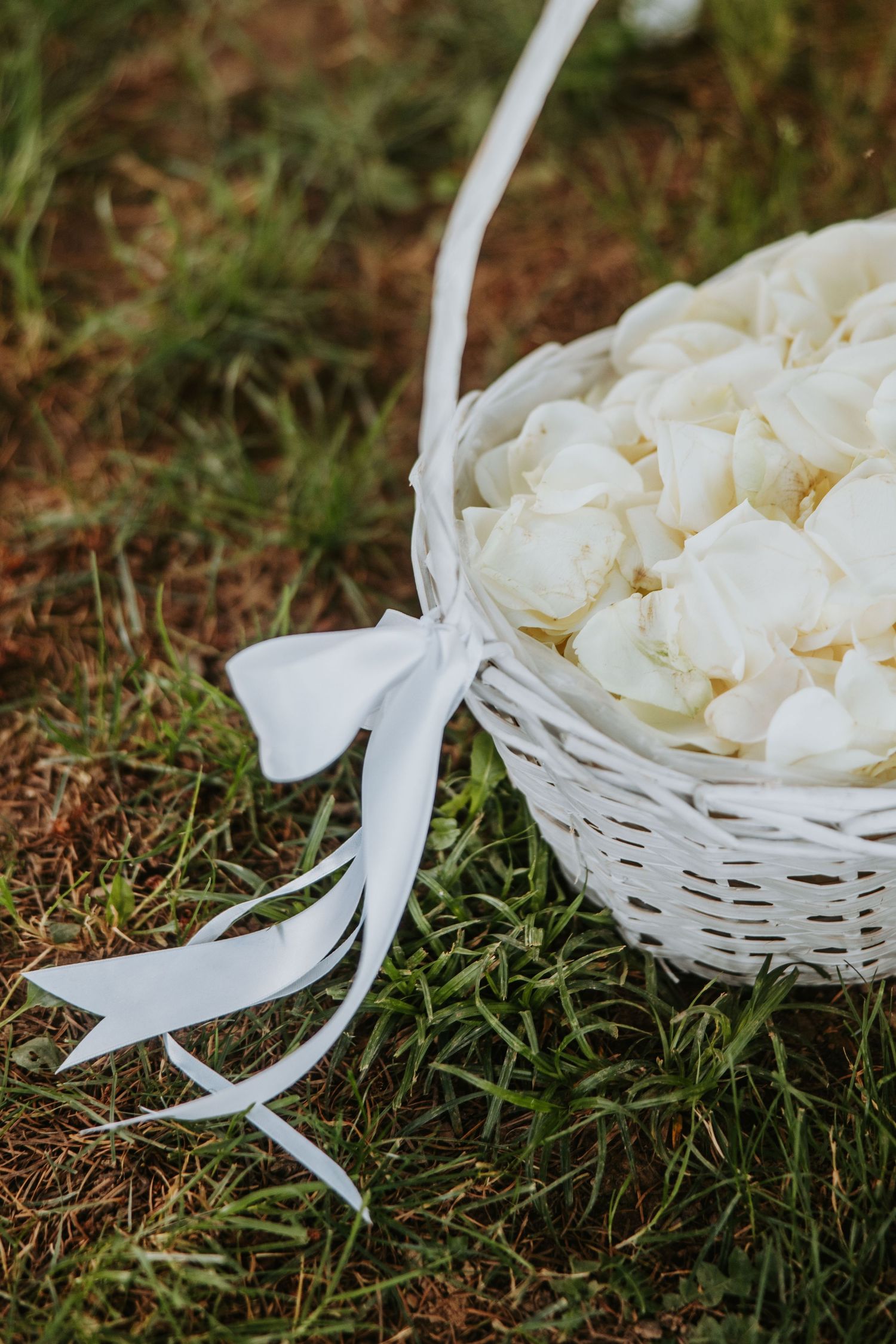 White wicker basket filled with white rose petals tied with a satin ribbon bow, sitting on green grass at a wedding.