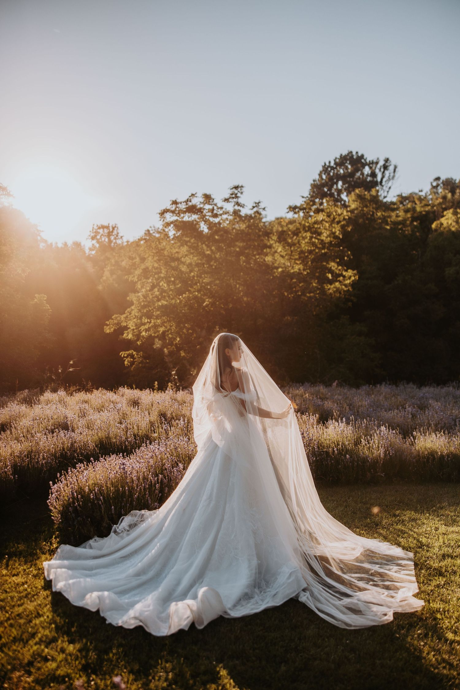 Bride in flowing white gown and veil standing in lavender field bathed in golden sunset light.