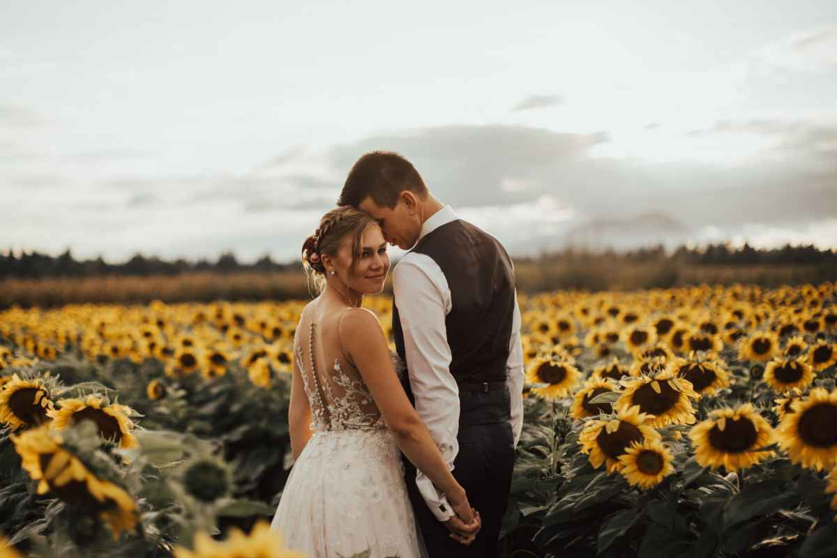 Bride and groom embracing in a golden sunflower field at sunset during their romantic outdoor wedding photo session.