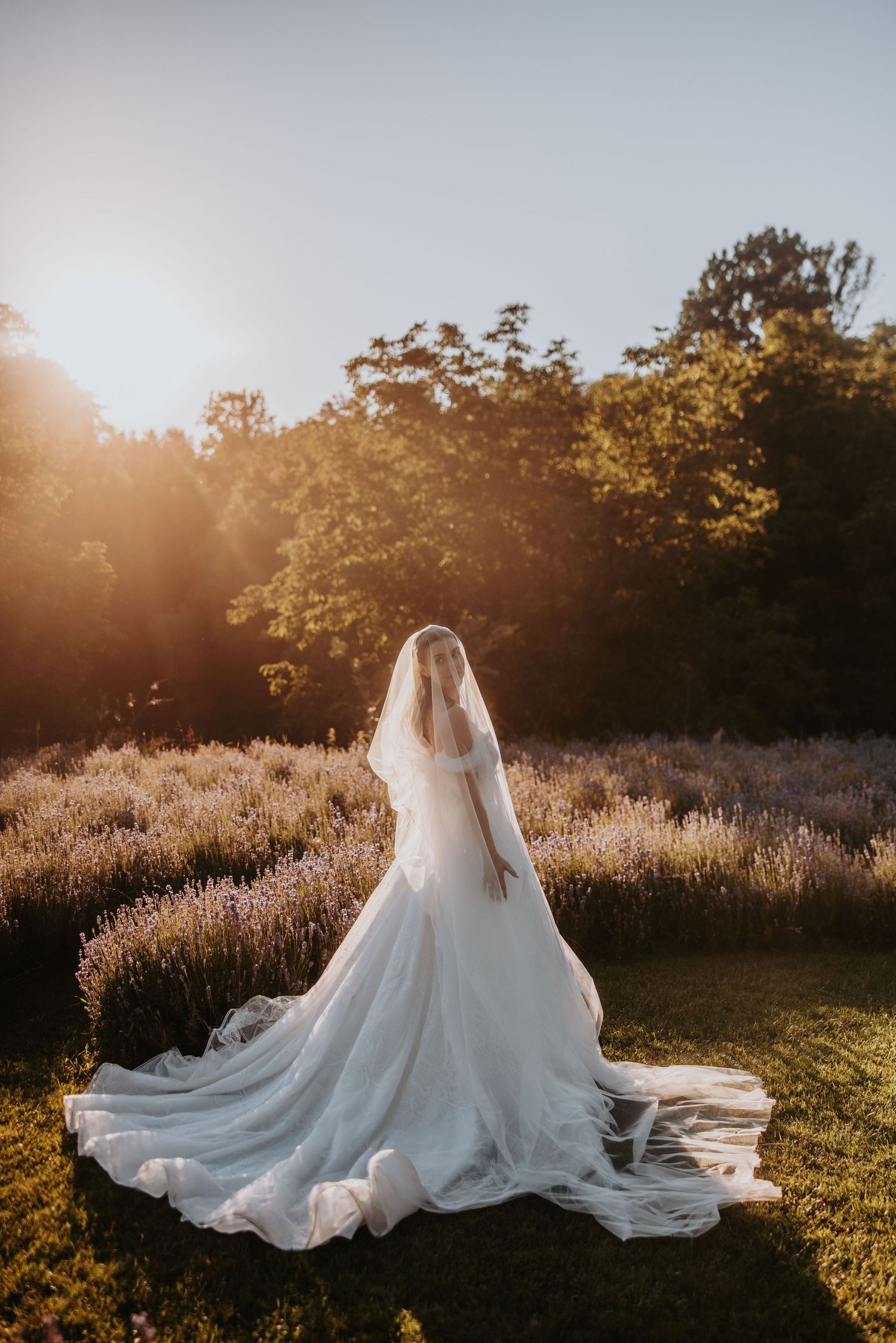 Bride in flowing white gown with long veil stands in lavender field during golden sunset.