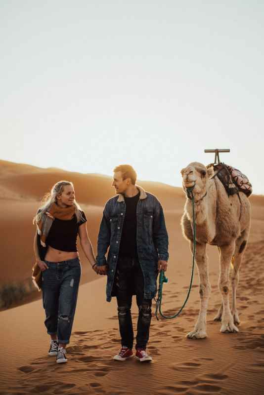 Couple holding hands walking with a camel through golden sand dunes in the desert at sunset.