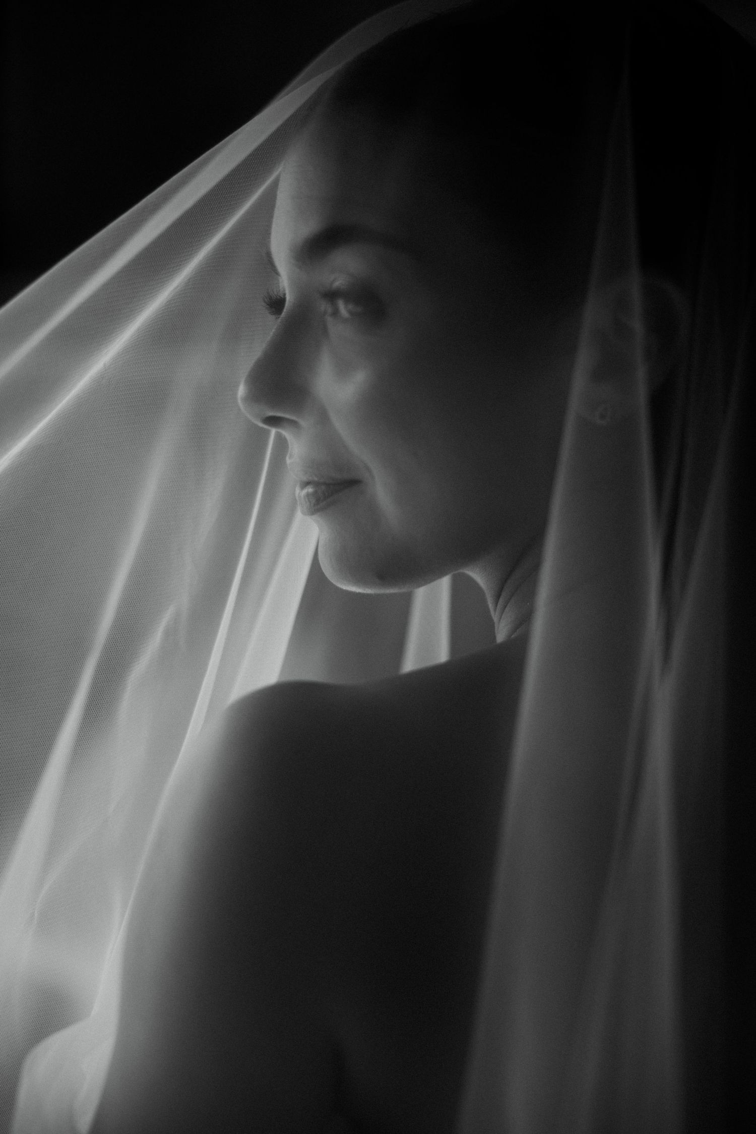 Black and white bridal portrait of a bride draped in a sheer veil, gazing softly to the side.