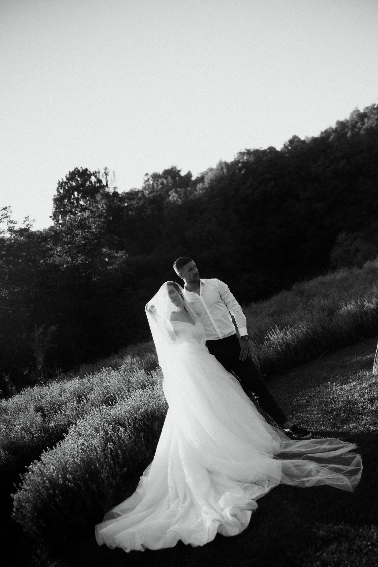 Black and white photo of bride and groom embracing in lavender field with flowing veil and wooded hills backdrop.