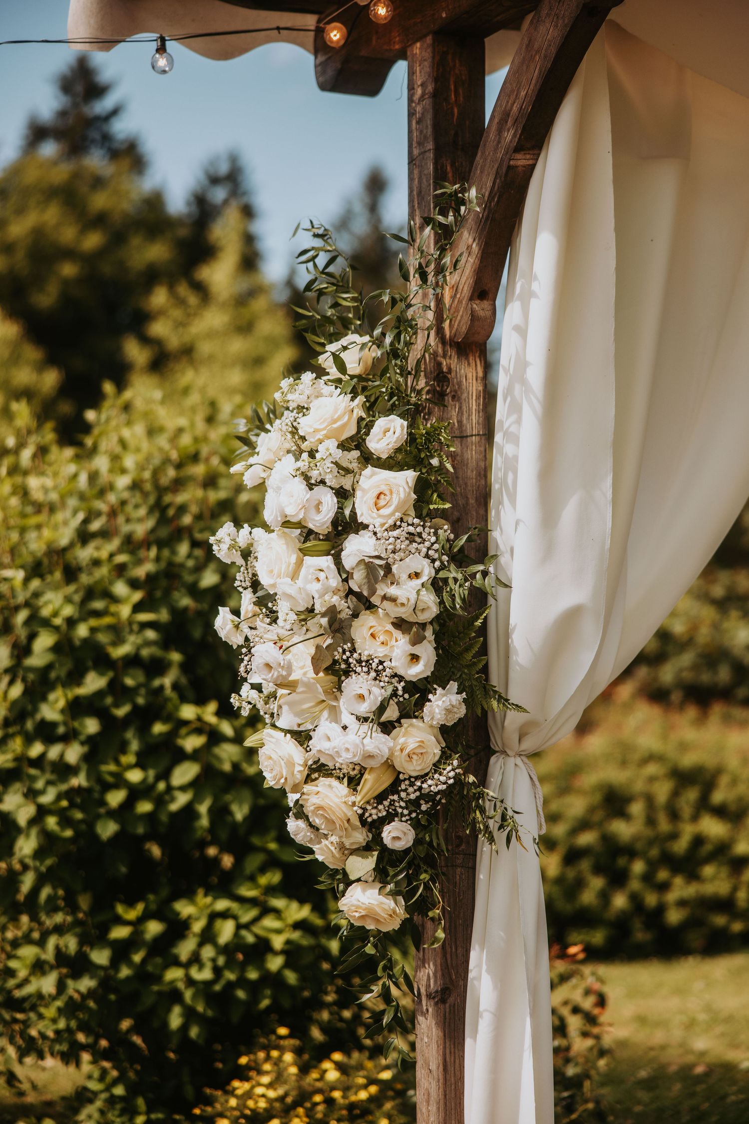 Rustic wooden wedding arch adorned with white roses and greenery with draped white fabric outdoors.