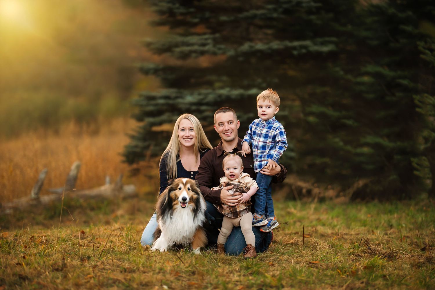 Family portrait with parents, two young boys, and a Sheltie dog outdoors in golden autumn light near evergreen trees.