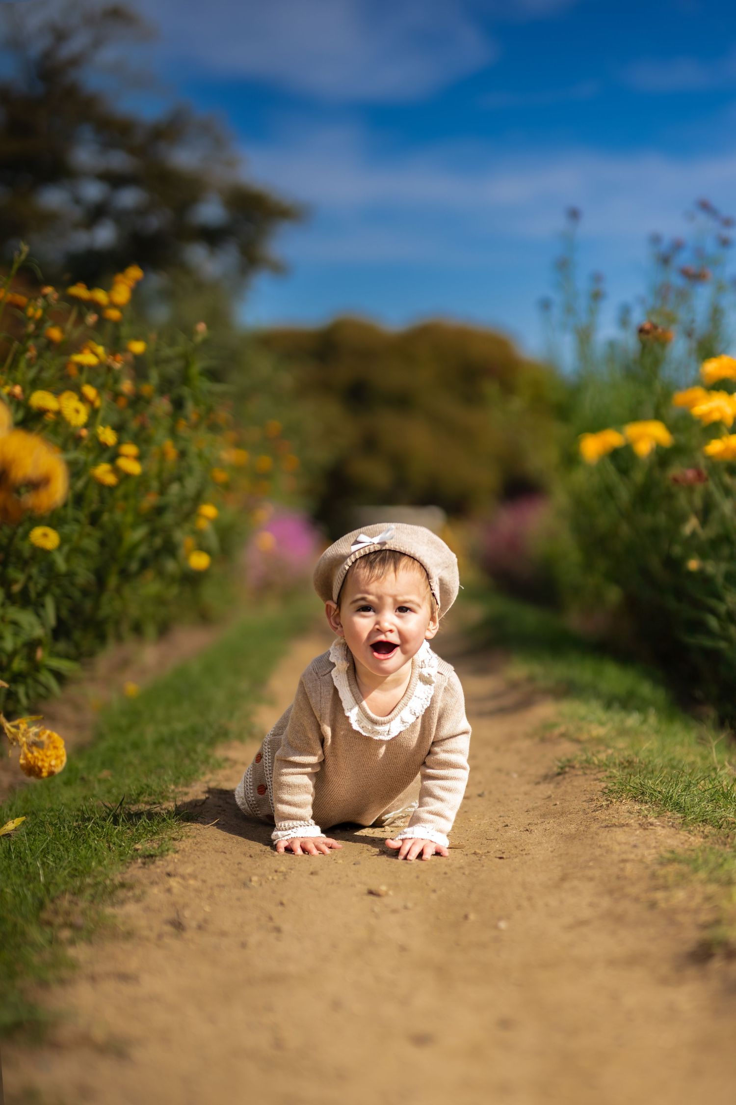 A joyful baby in a cream outfit and hat crawls on a sunny garden path lined with yellow flowers.